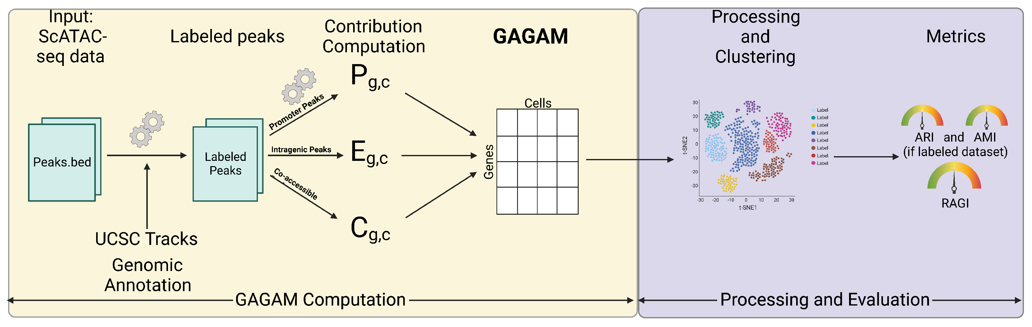 Genes 14 00115 g001