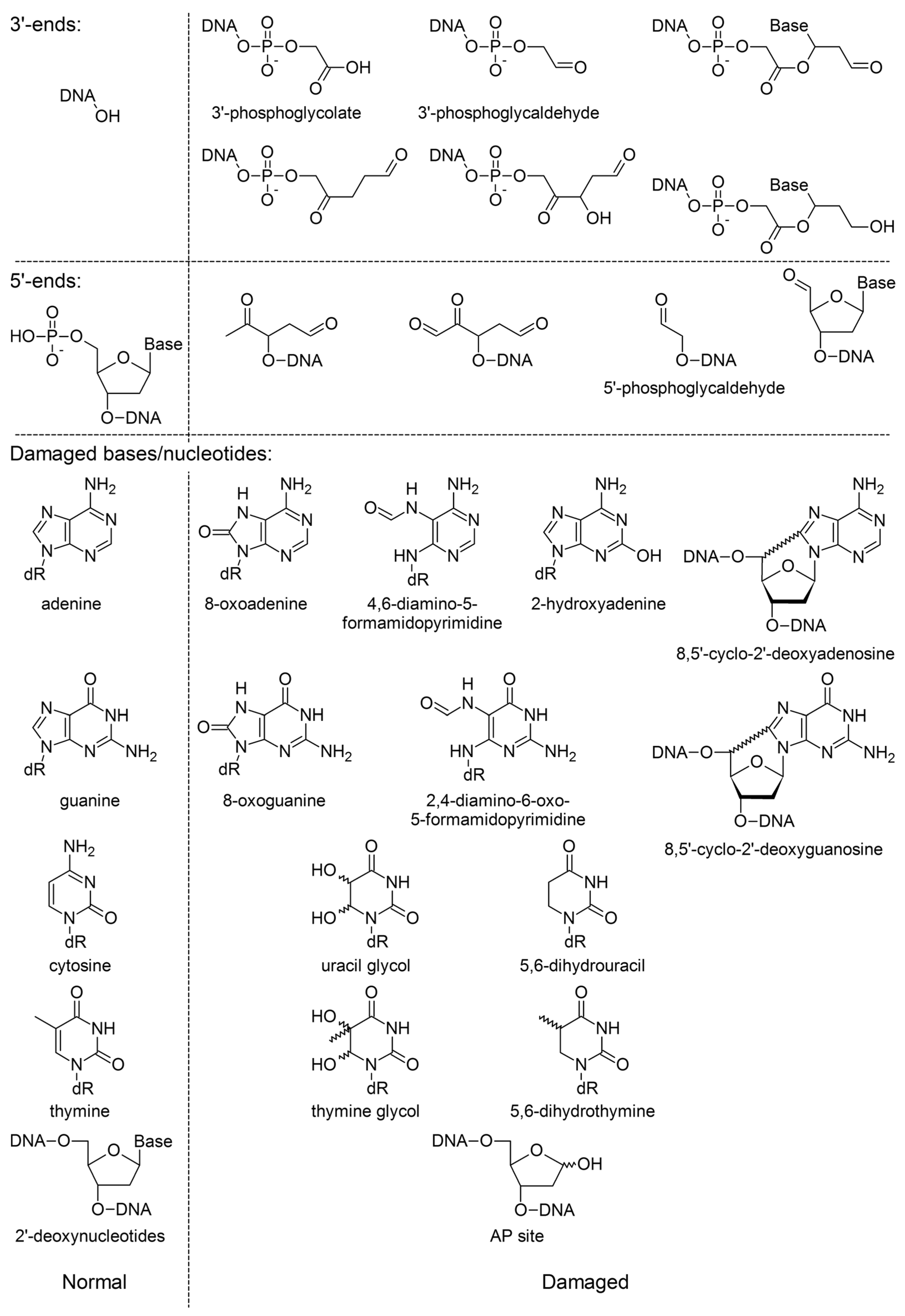 Genes 14 00127 g002 Genes 14 00127 g002