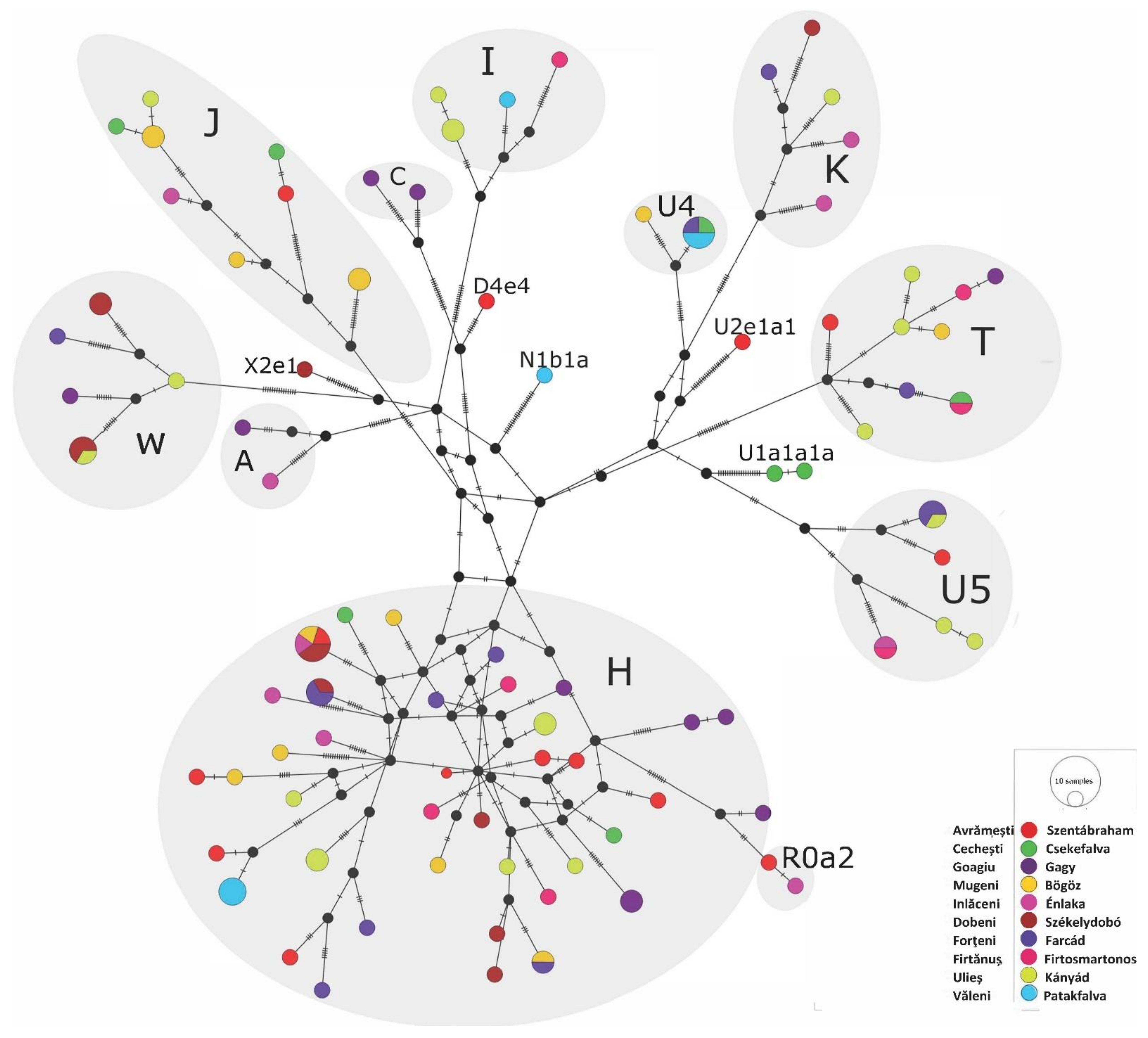 Genes 14 00133 g005 Genes 14 00133 g005