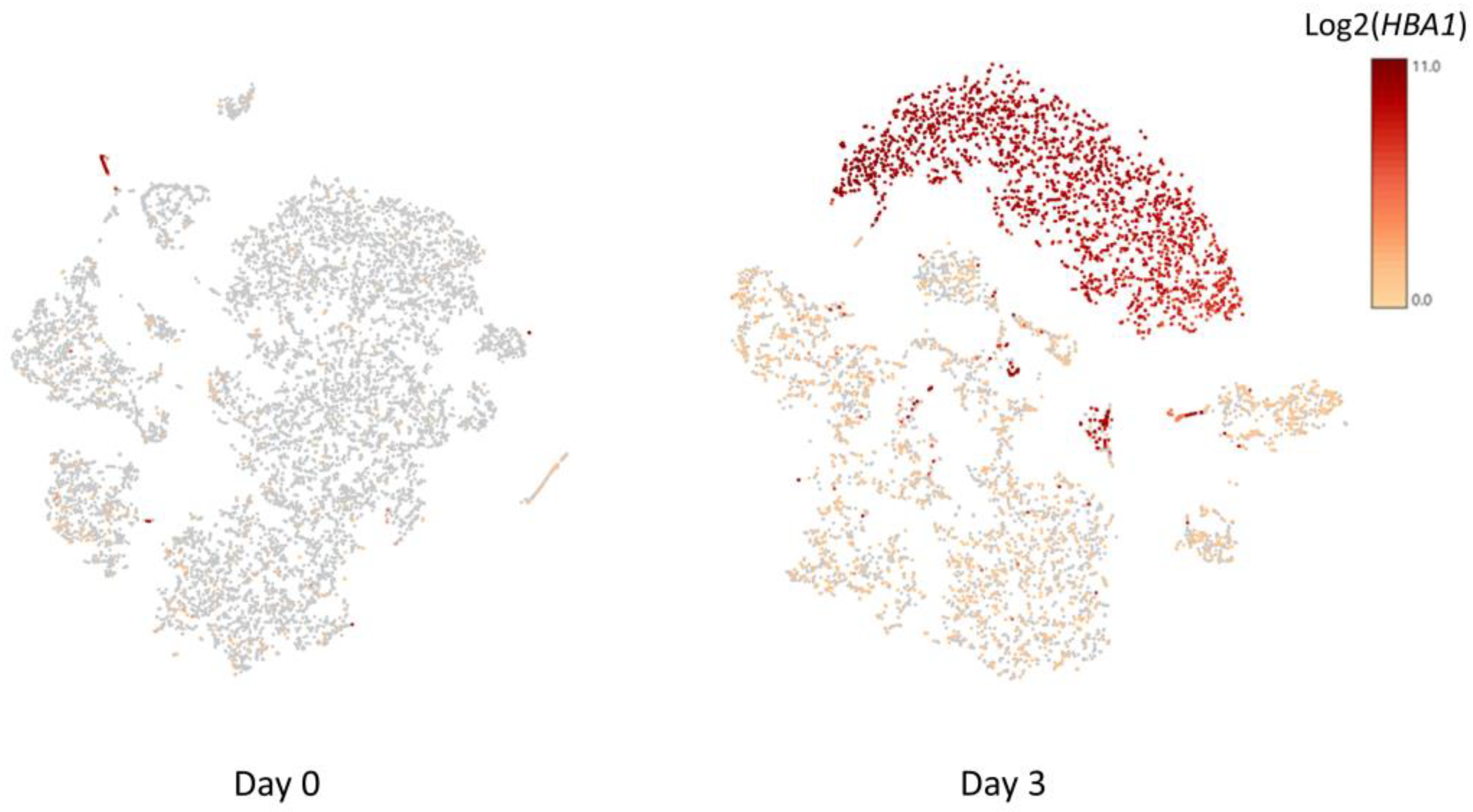 Genes 14 00142 g002 Genes 14 00142 g002