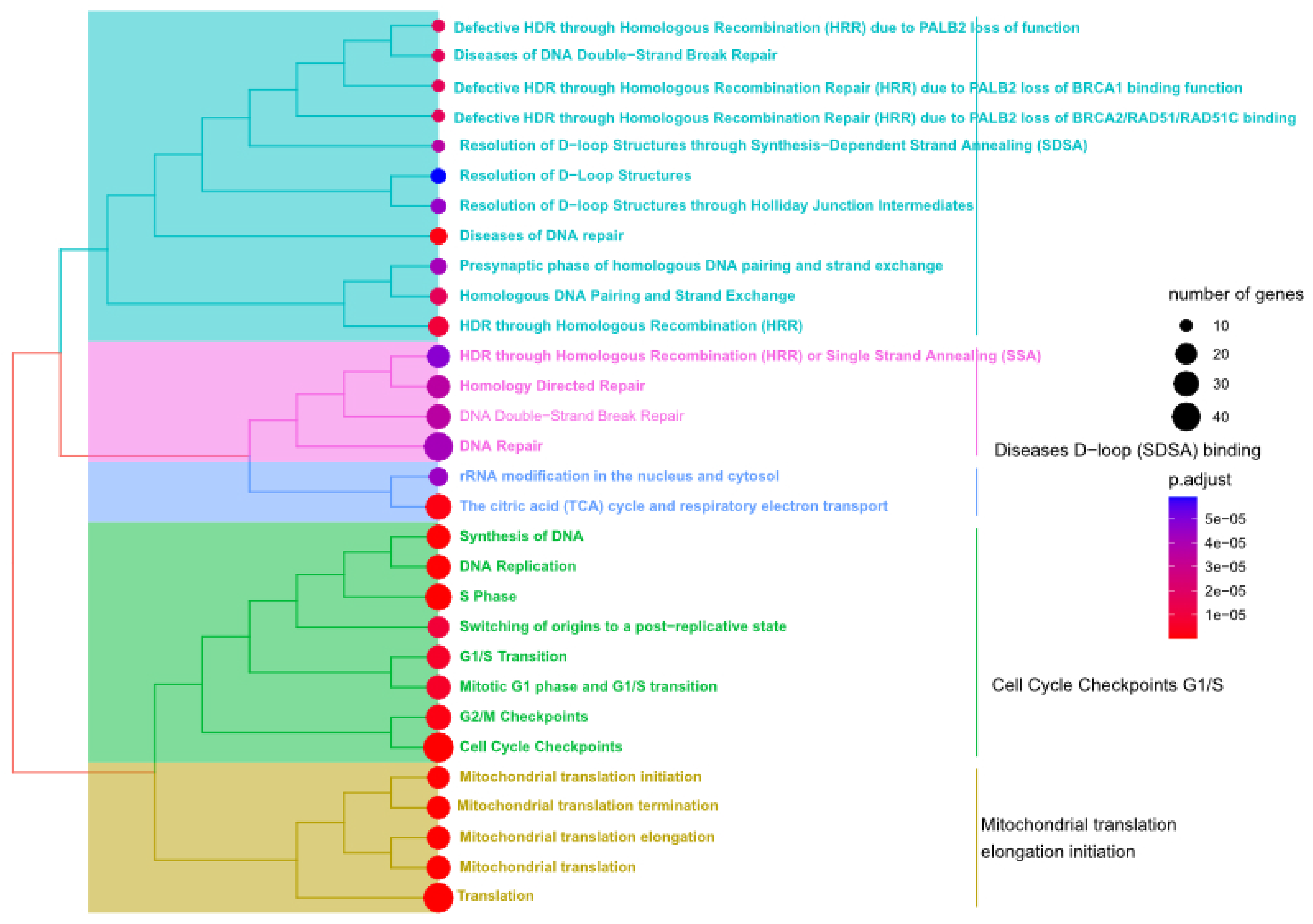 Genes 14 00144 g005