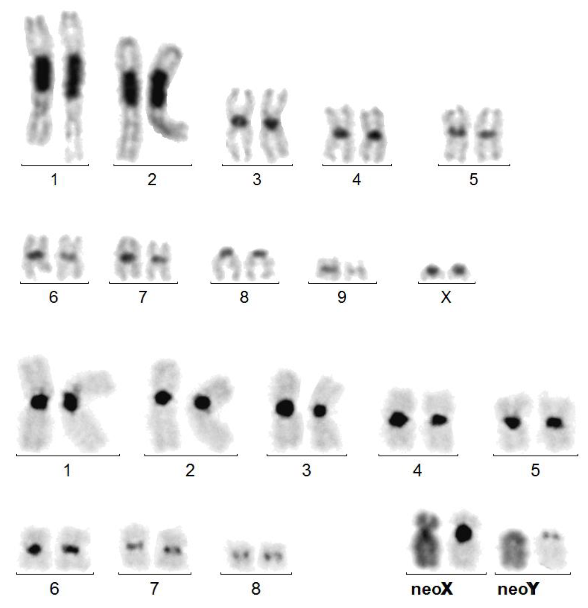 Genes 14 00150 g001 Genes 14 00150 g001