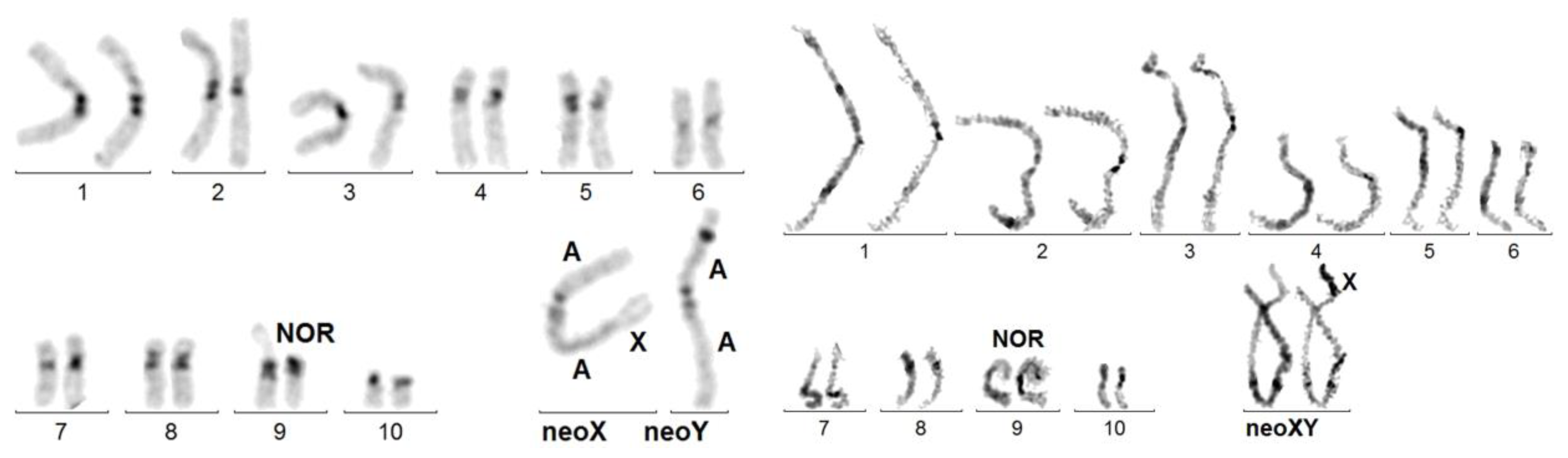 Genes 14 00150 g002 Genes 14 00150 g002