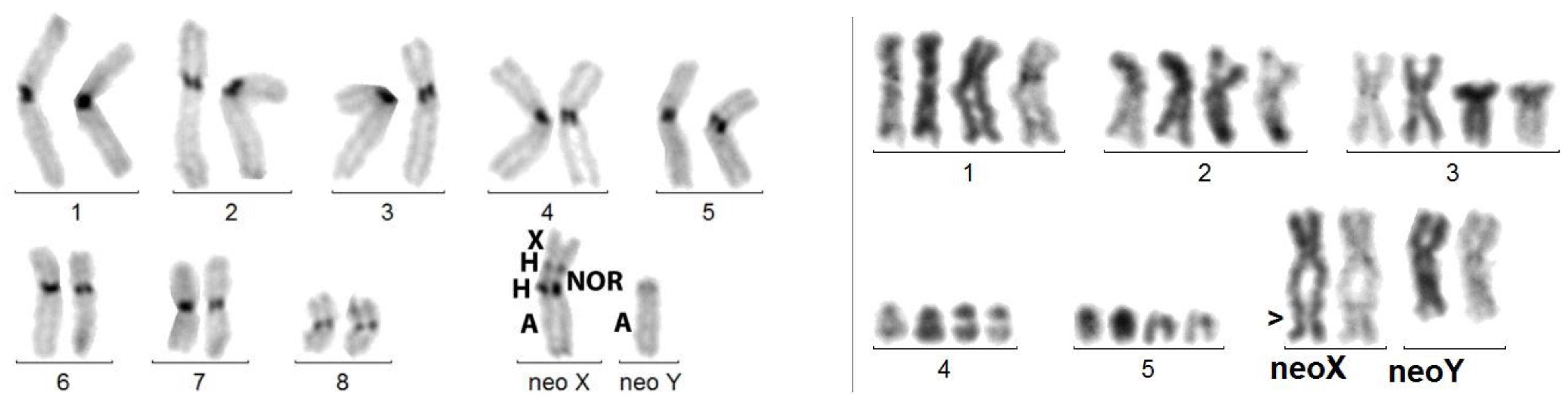 Genes 14 00150 g003 Genes 14 00150 g003