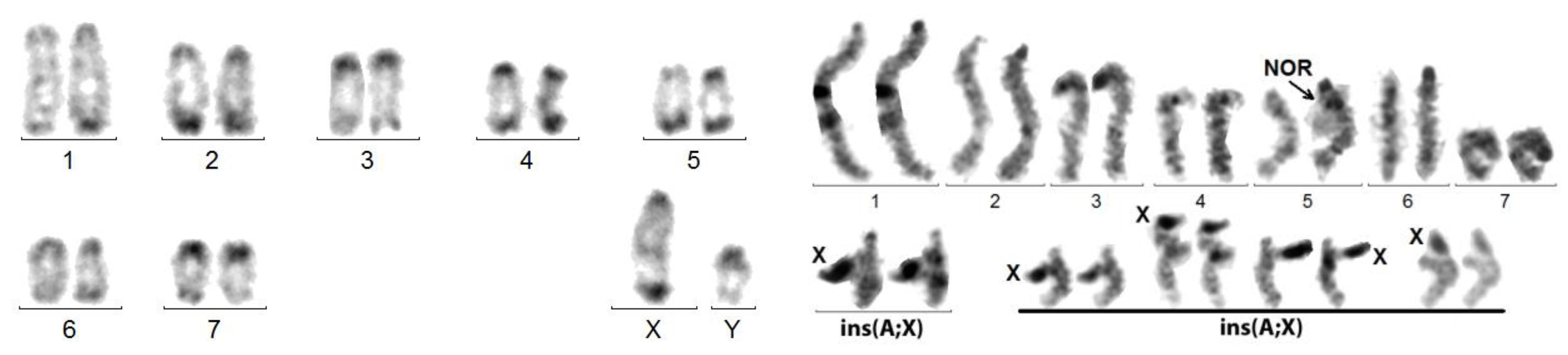 Genes 14 00150 g004 Genes 14 00150 g004