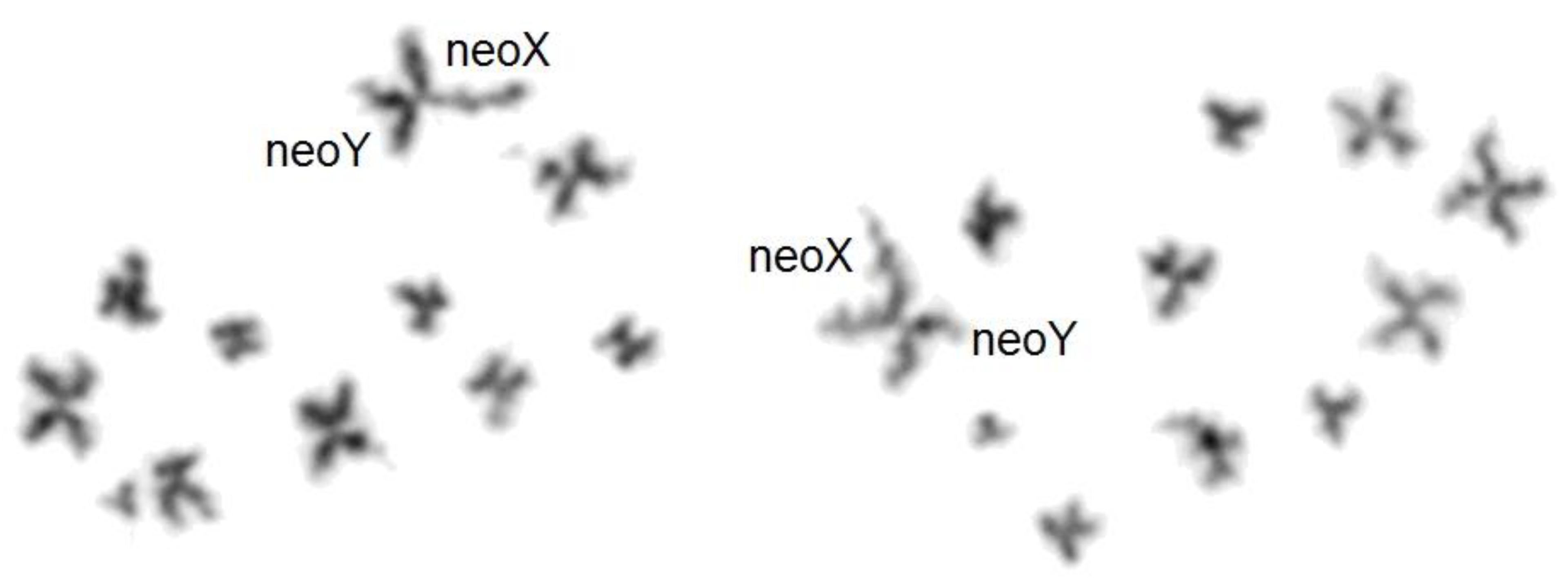 Genes 14 00150 g005 Genes 14 00150 g005