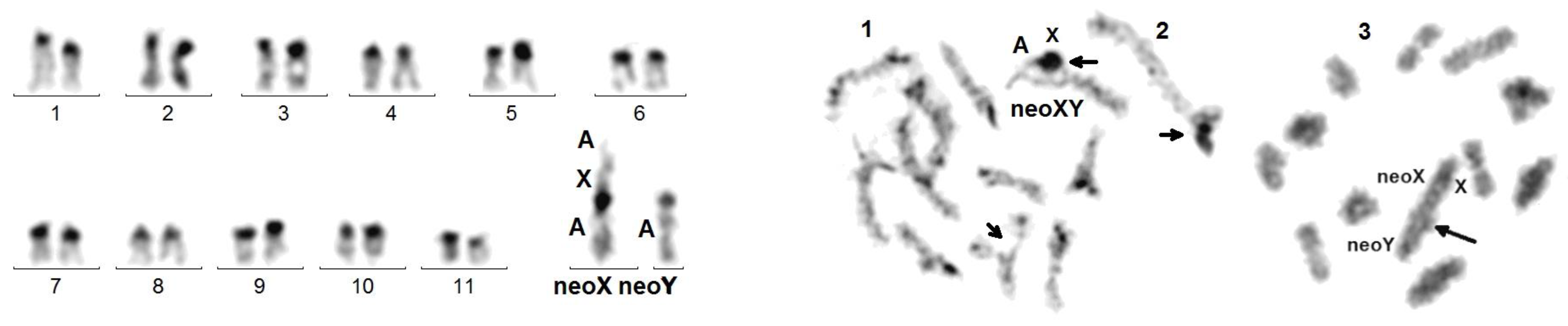 Genes 14 00150 g007 Genes 14 00150 g007