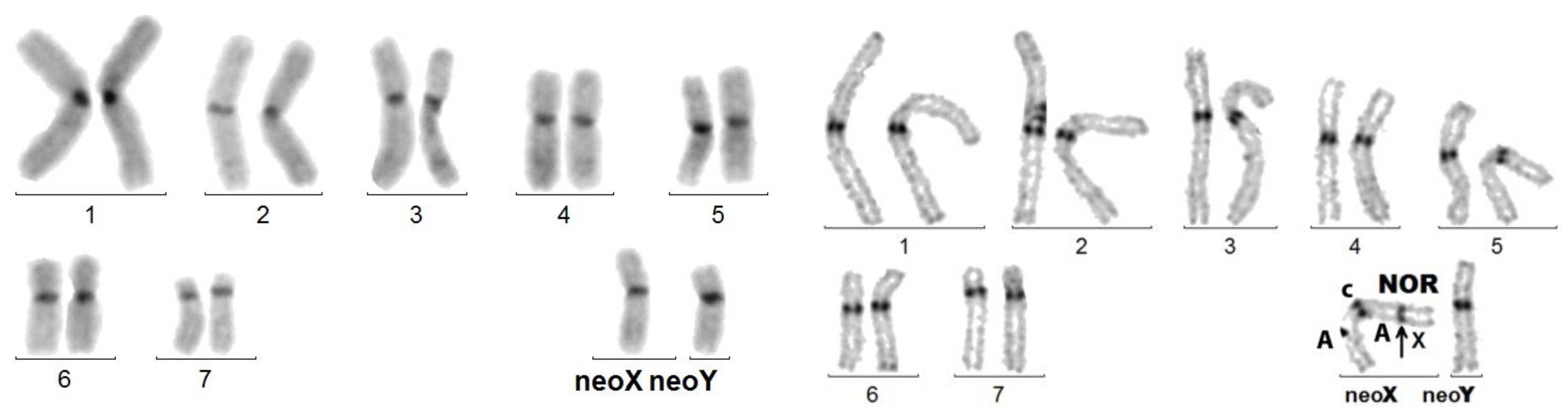 Genes 14 00150 g008 Genes 14 00150 g008