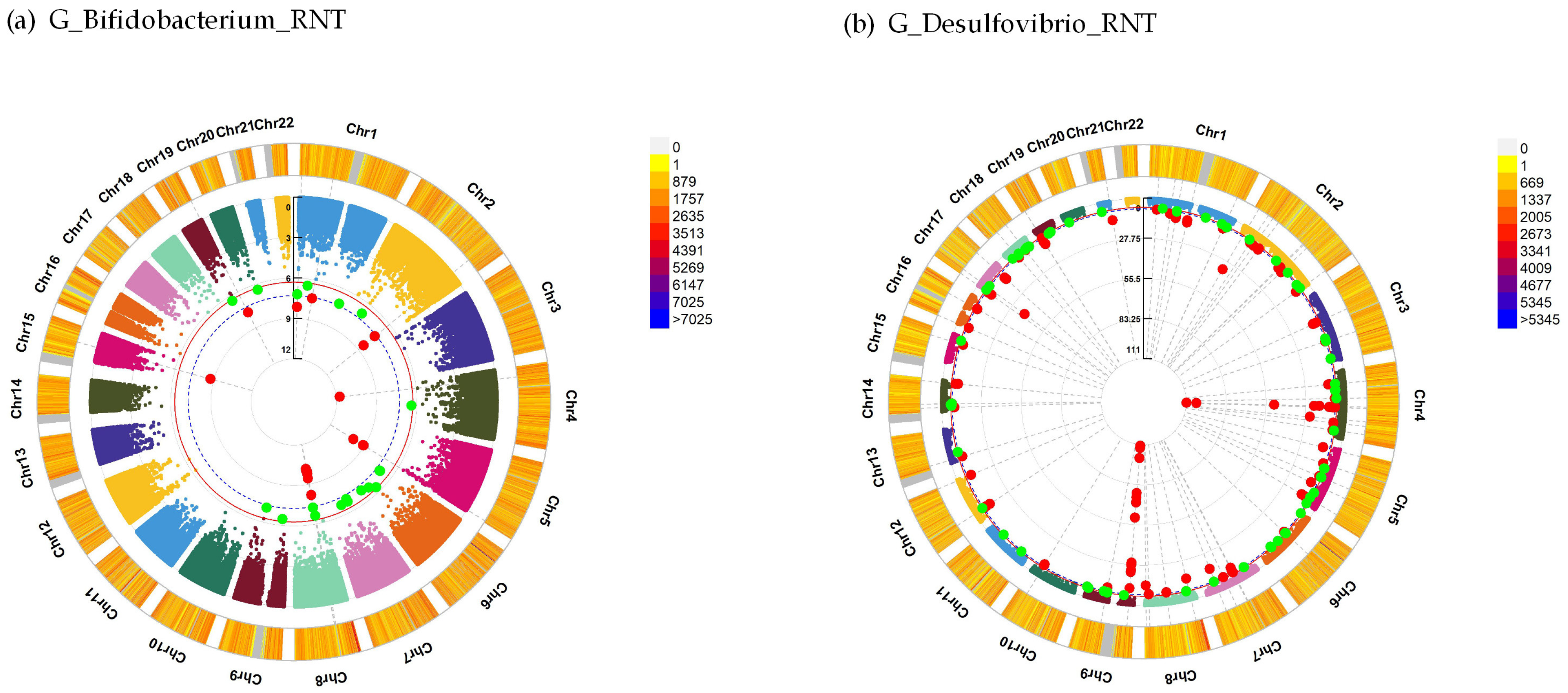 Genes 14 00156 g001 Genes 14 00156 g001