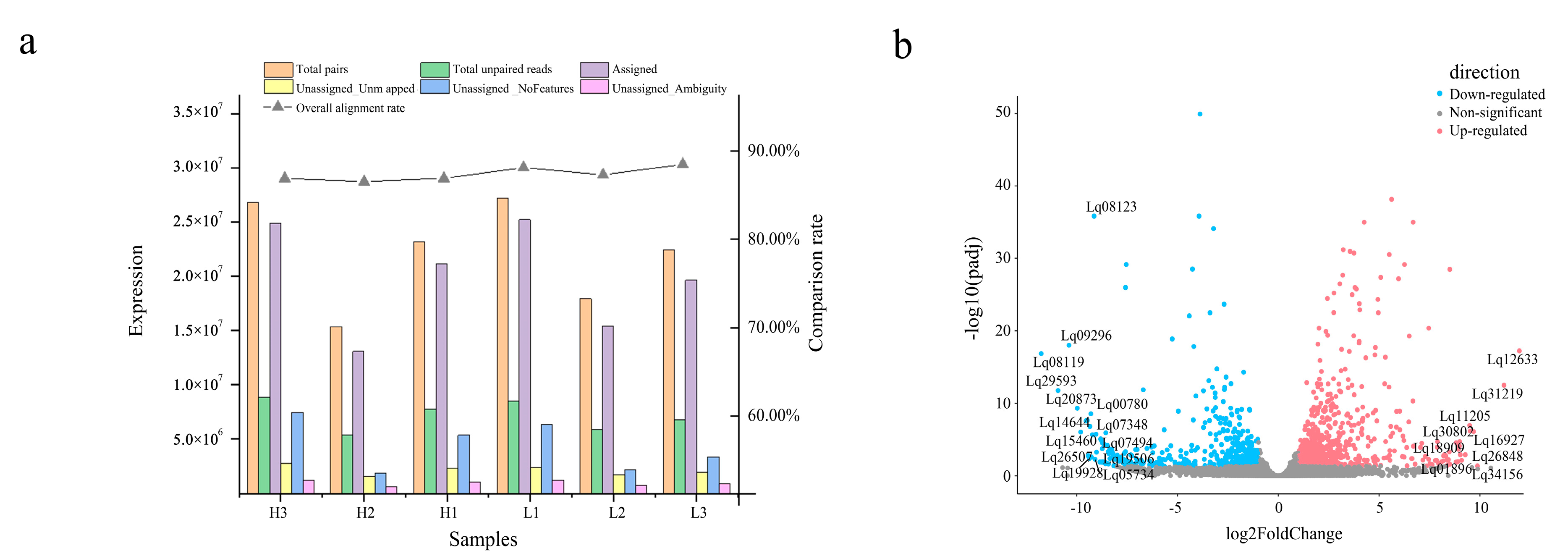 Genes 14 00163 g002