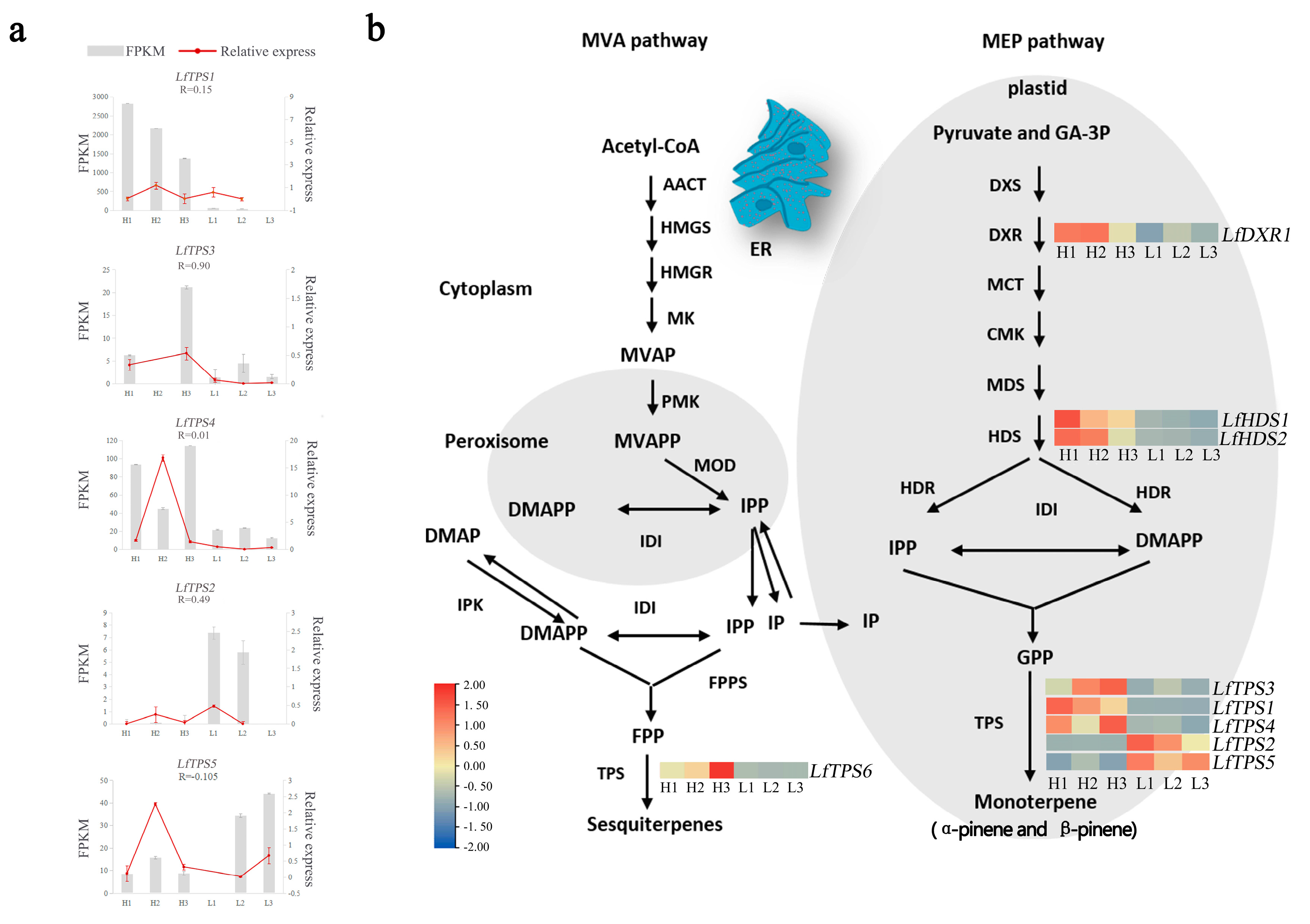 Genes 14 00163 g004