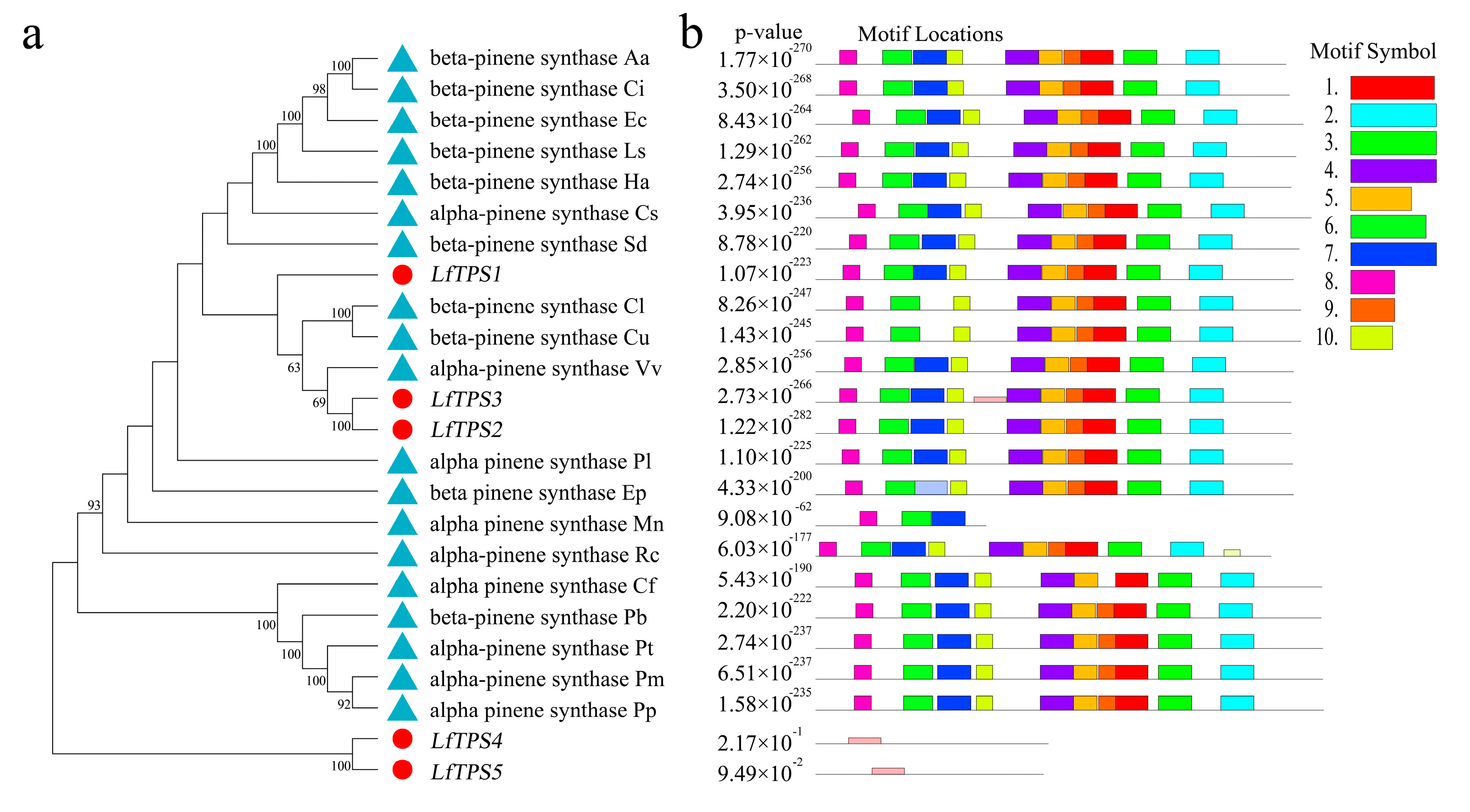Genes 14 00163 g005a