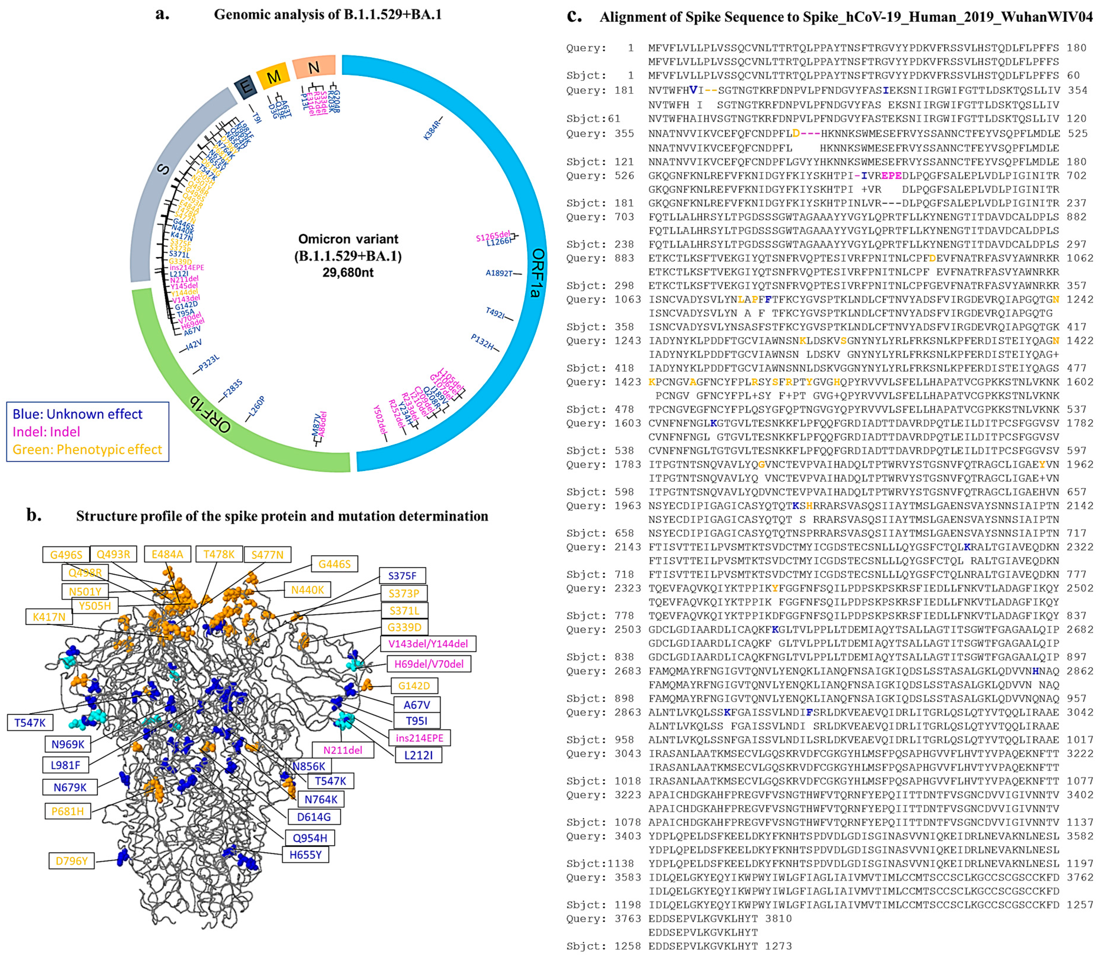Genes 14 00173 g001