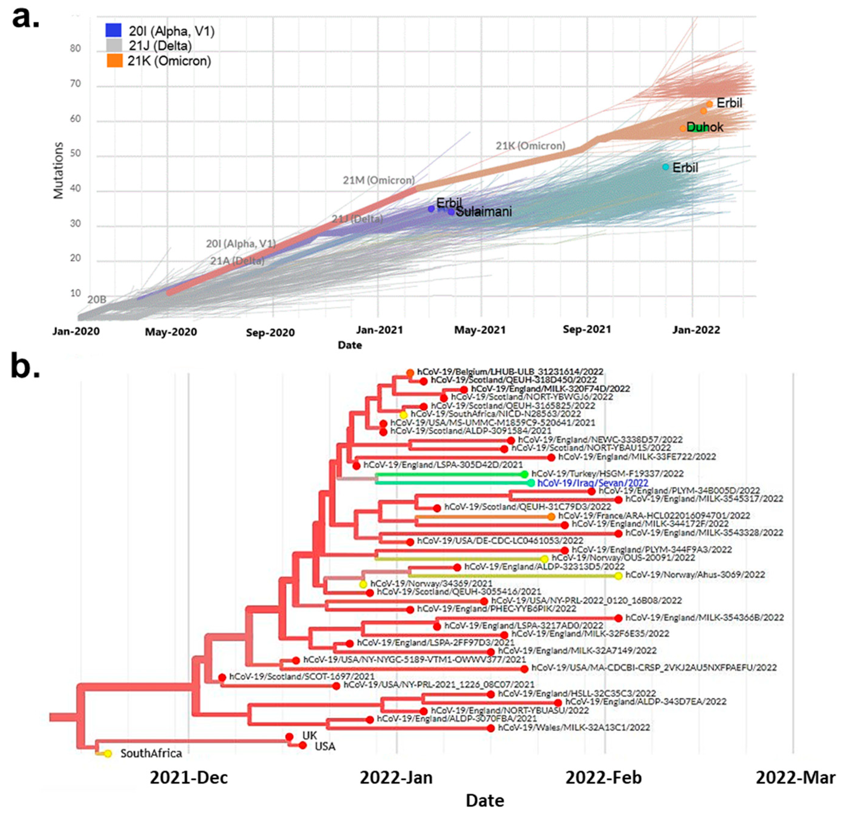 Genes 14 00173 g003