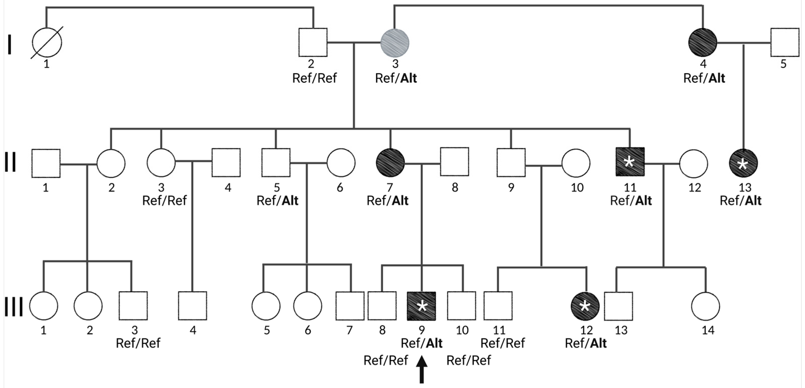 Genes 14 00177 g001