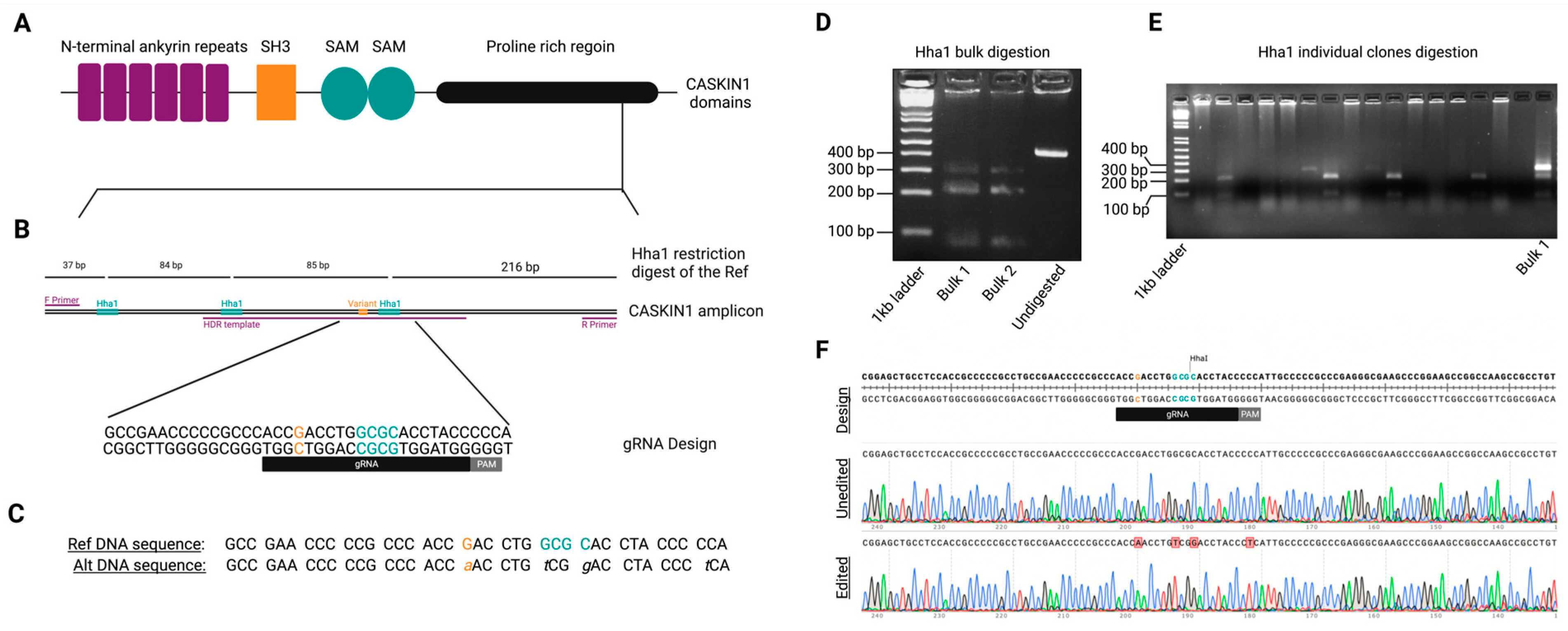 Genes 14 00177 g002