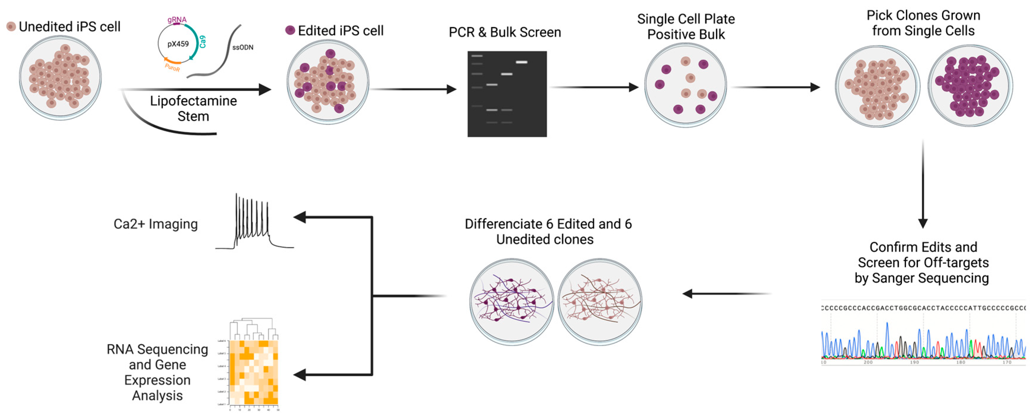 Genes 14 00177 g003