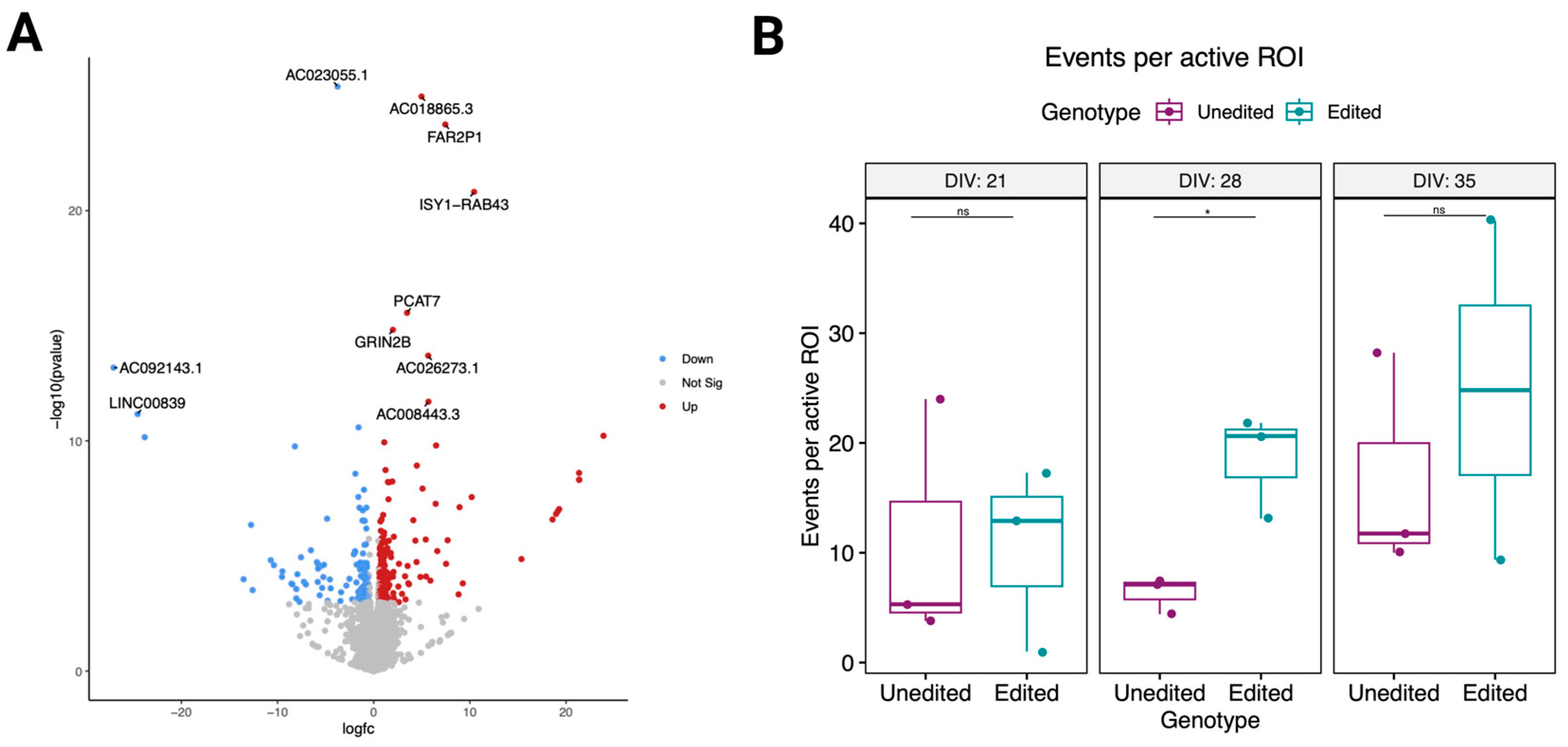 Genes 14 00177 g004