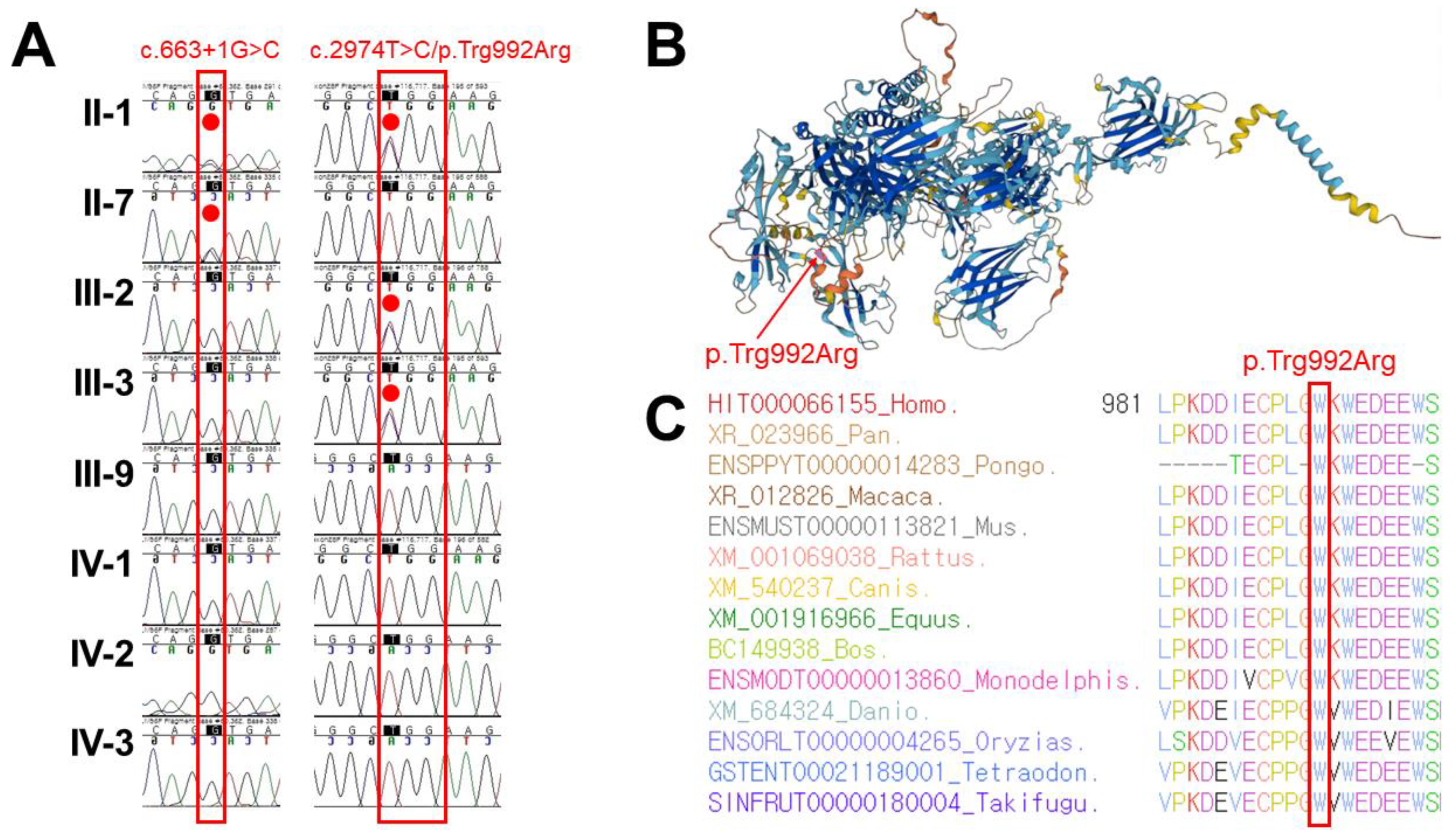 Genes 14 00200 g002