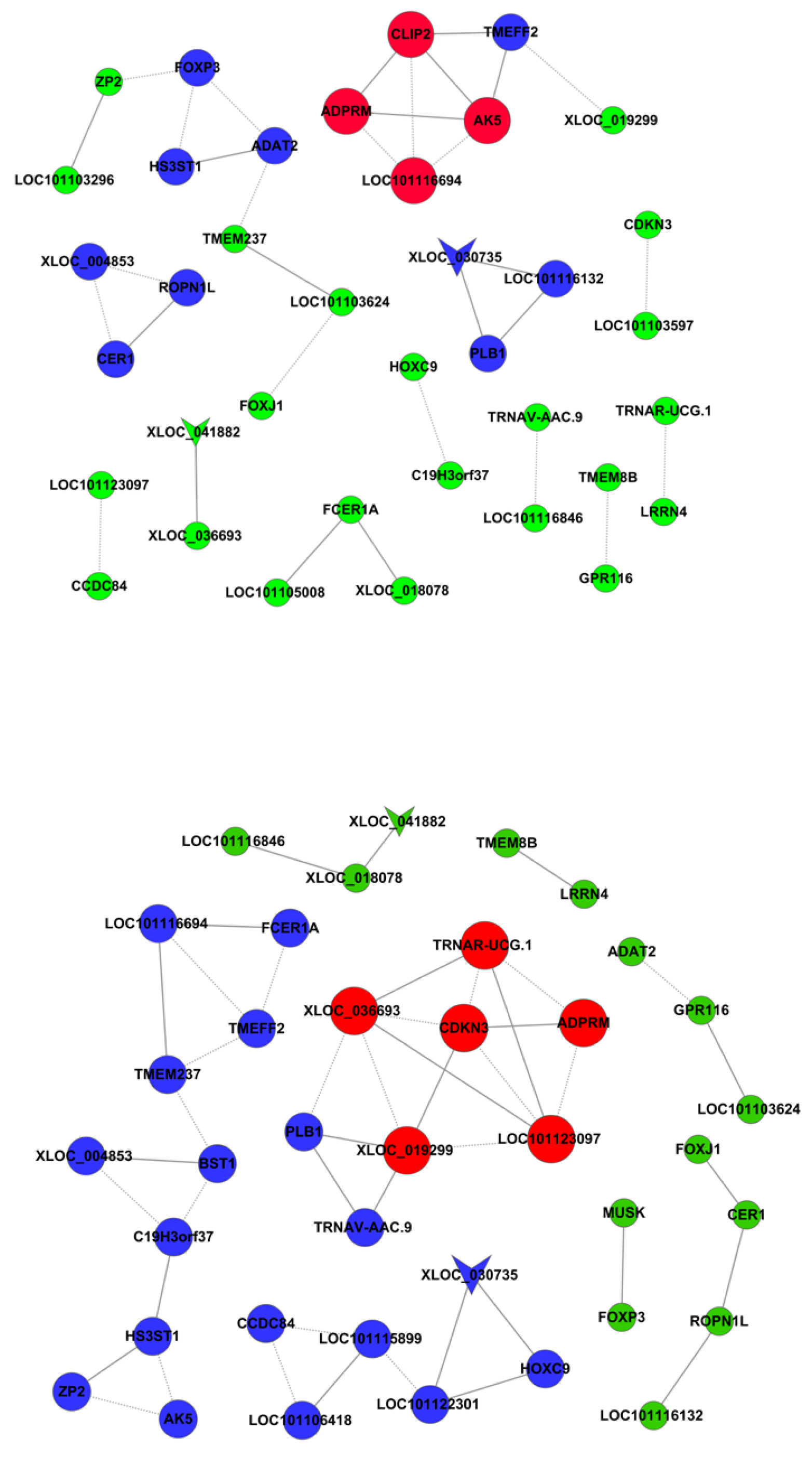Genes 14 00203 g003 Genes 14 00203 g003