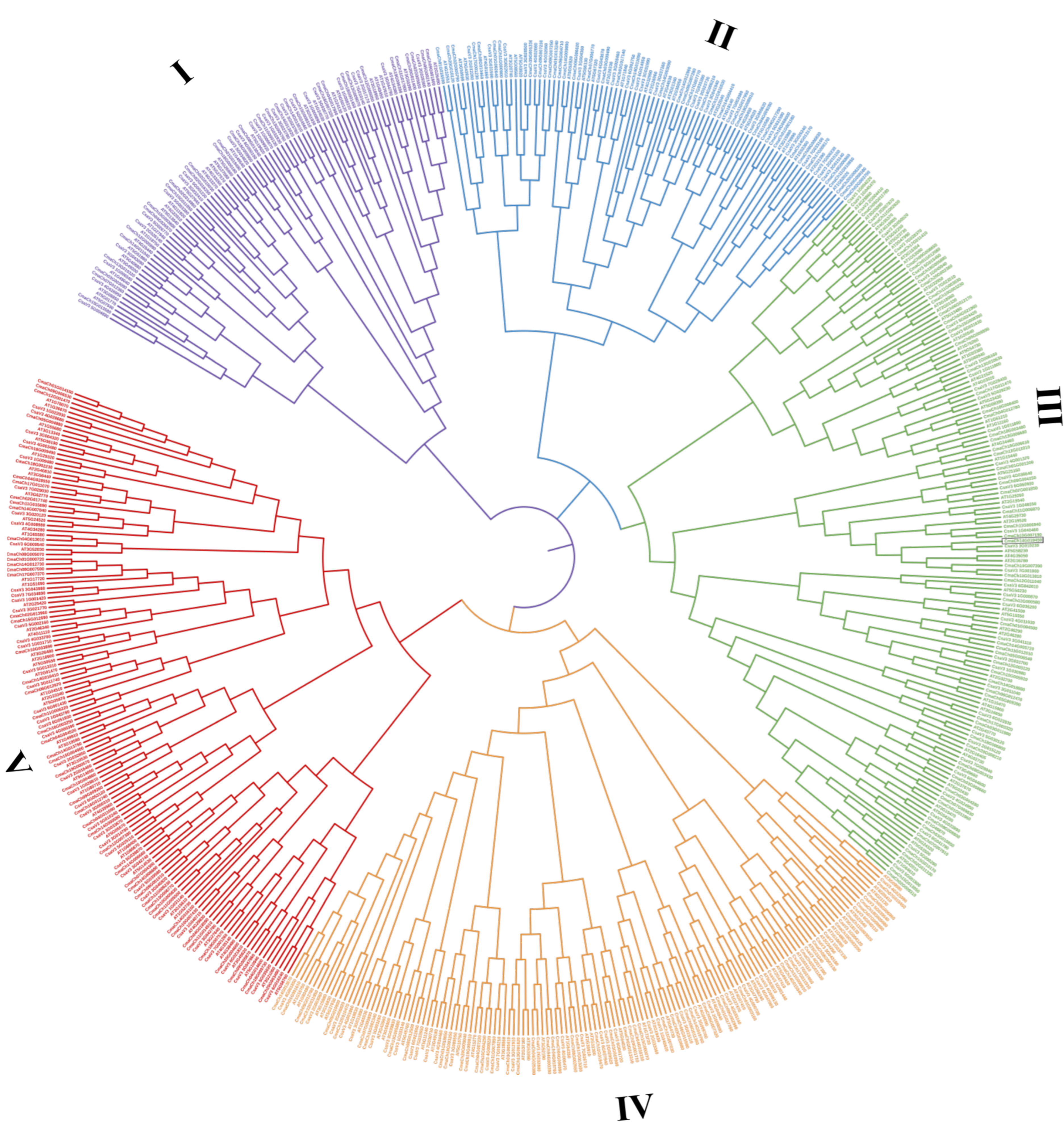 Genes 14 00220 g001 Genes 14 00220 g001