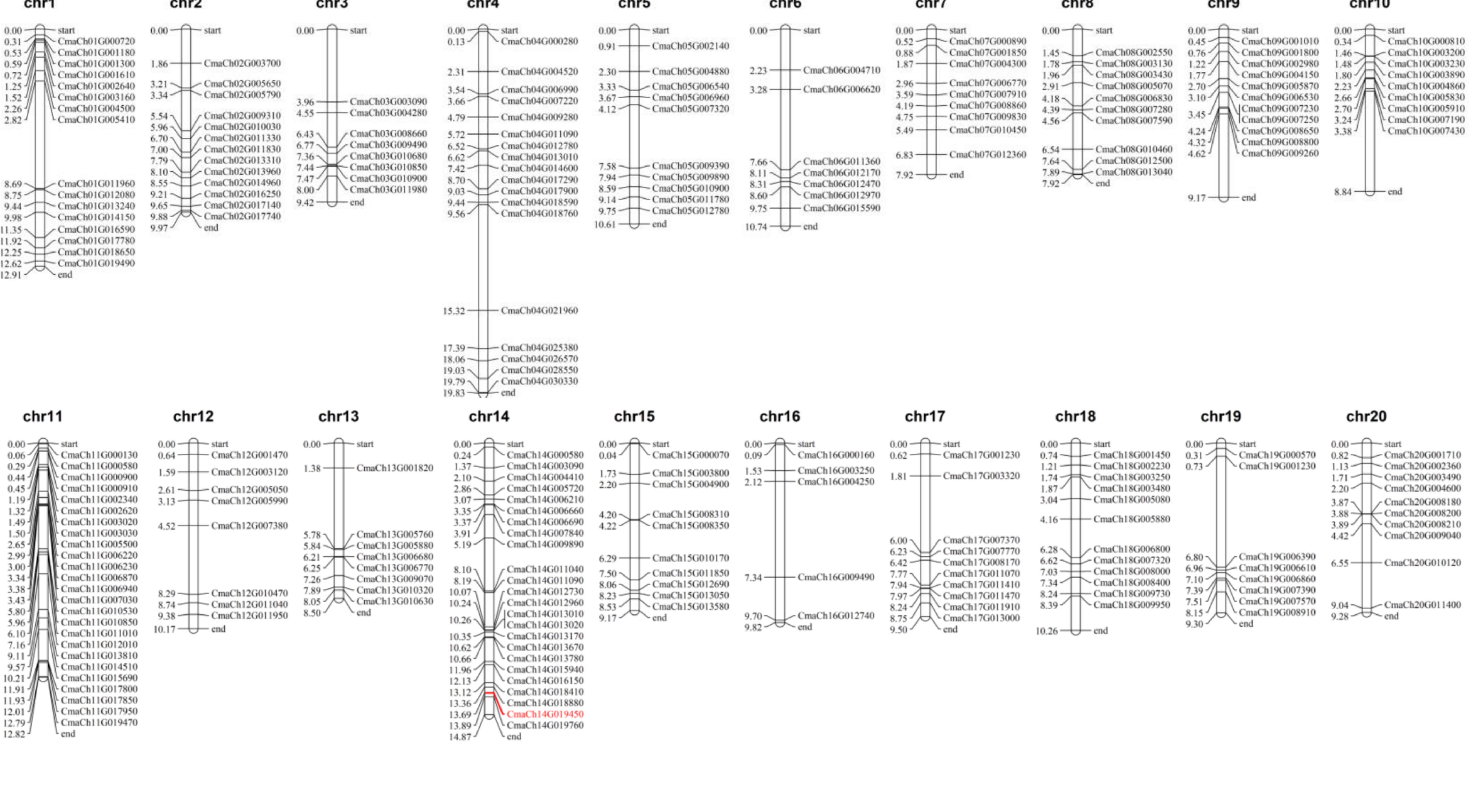Genes 14 00220 g002 Genes 14 00220 g002