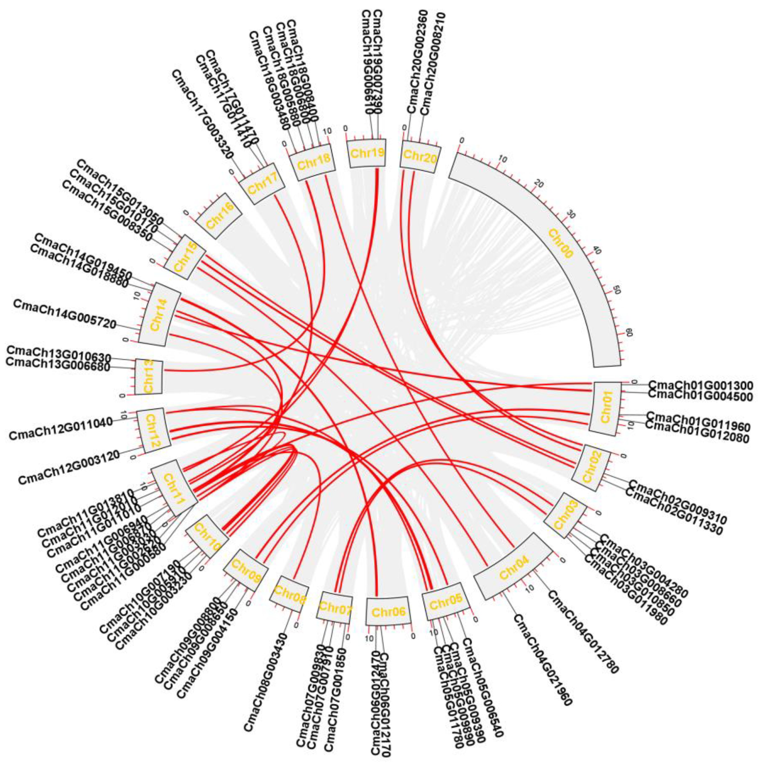 Genes 14 00220 g003 Genes 14 00220 g003