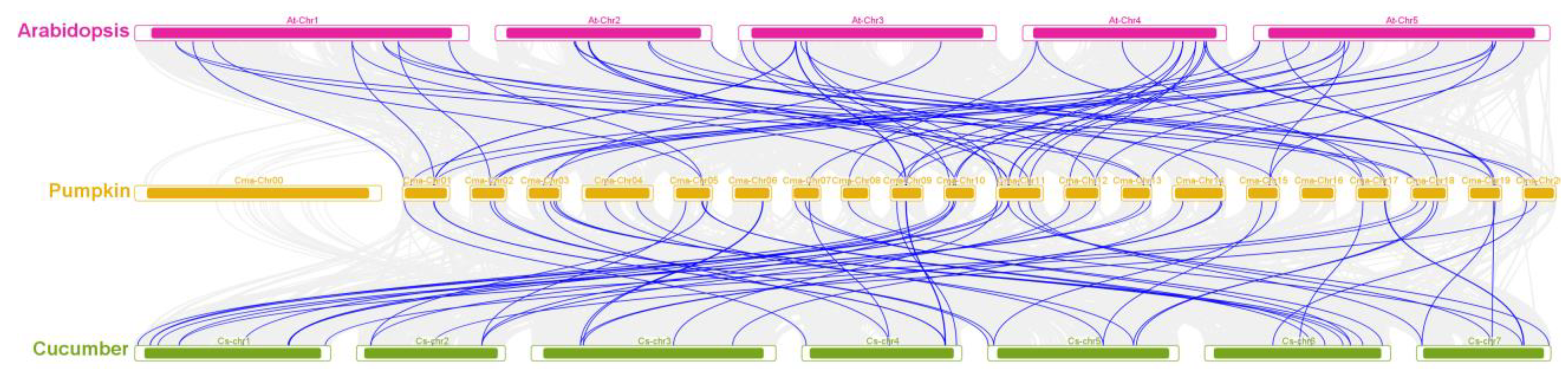 Genes 14 00220 g004 Genes 14 00220 g004