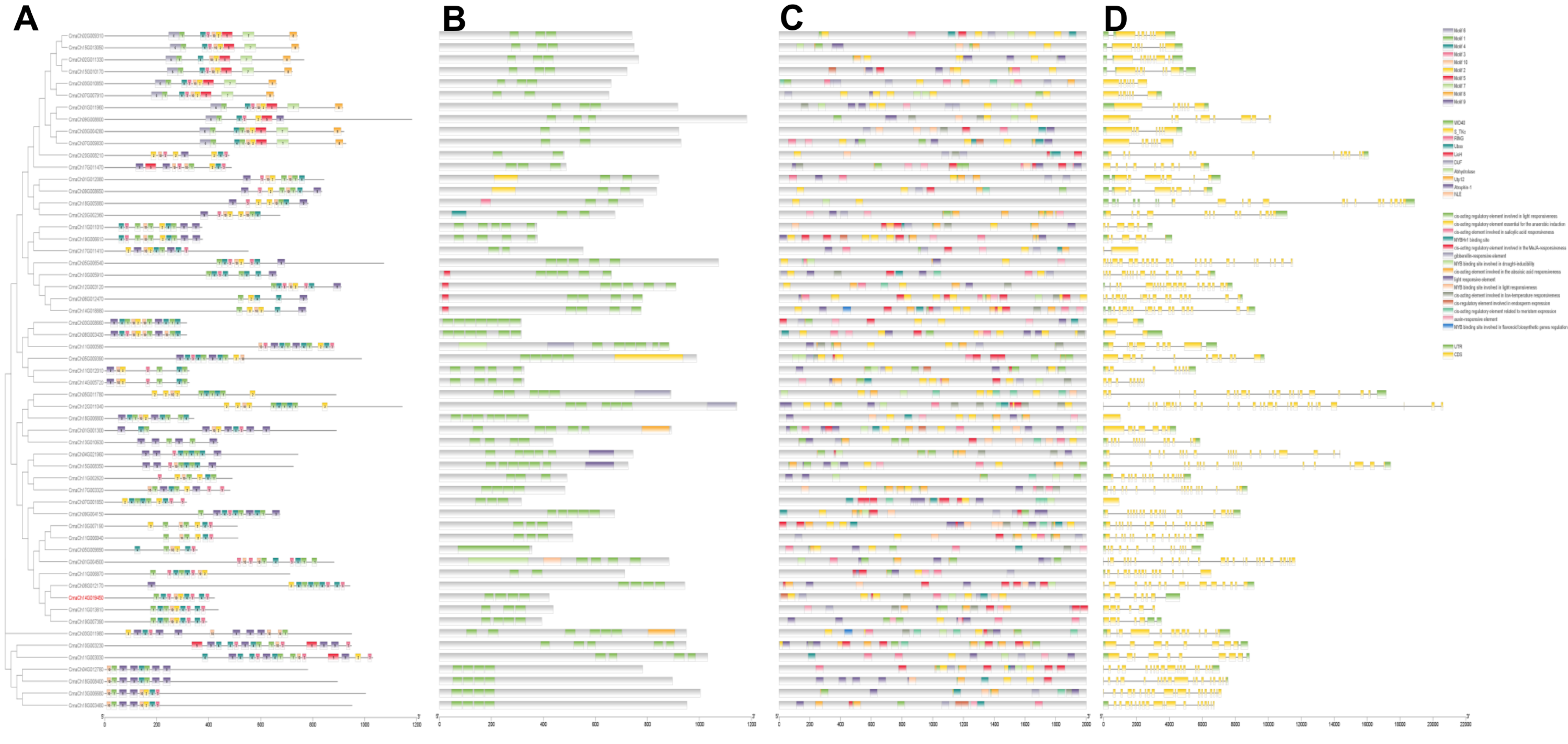 Genes 14 00220 g005 Genes 14 00220 g005