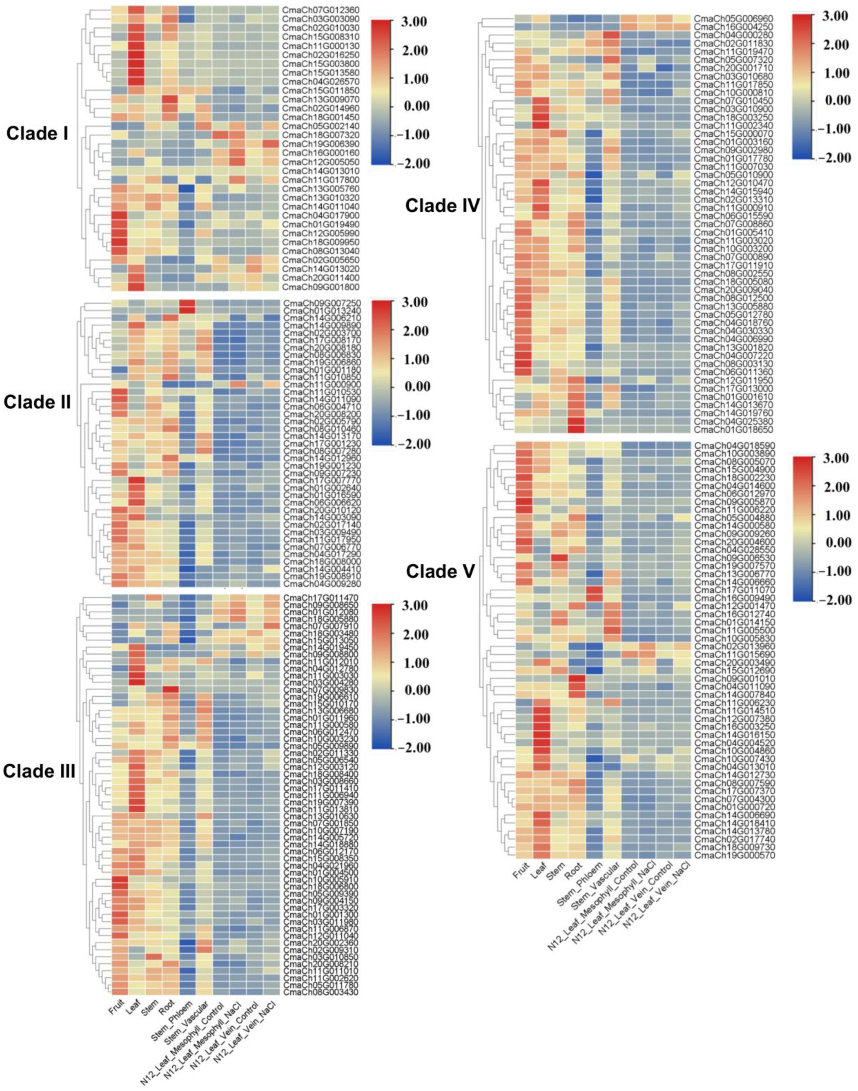 Genes 14 00220 g007 Genes 14 00220 g007