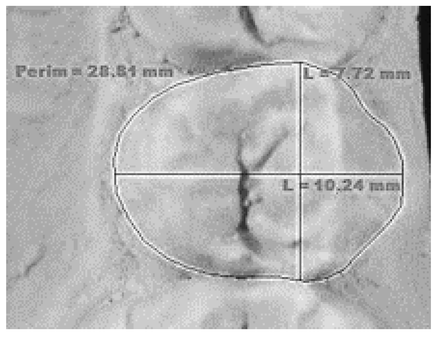 Genes 14 00231 g001 Genes 14 00231 g001