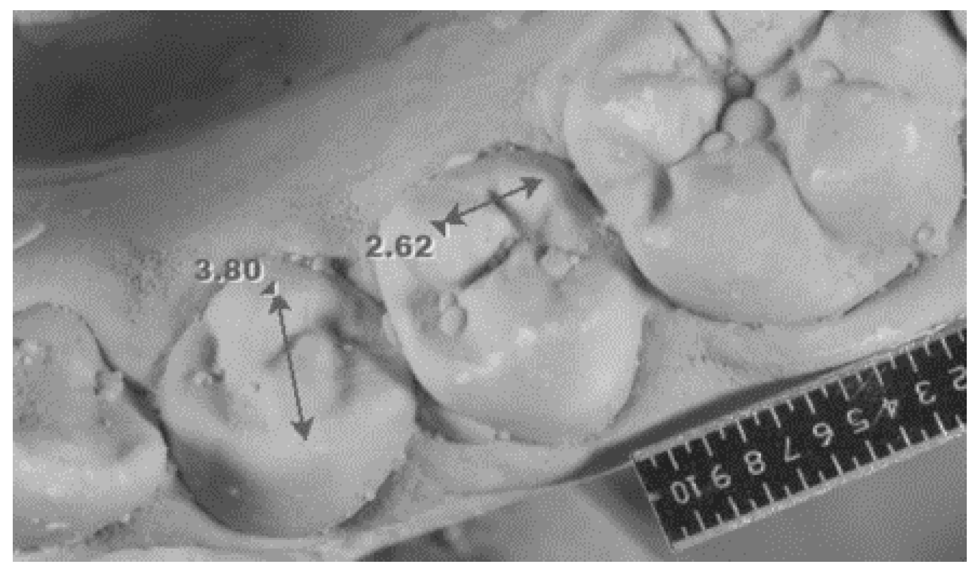 Genes 14 00231 g002 Genes 14 00231 g002