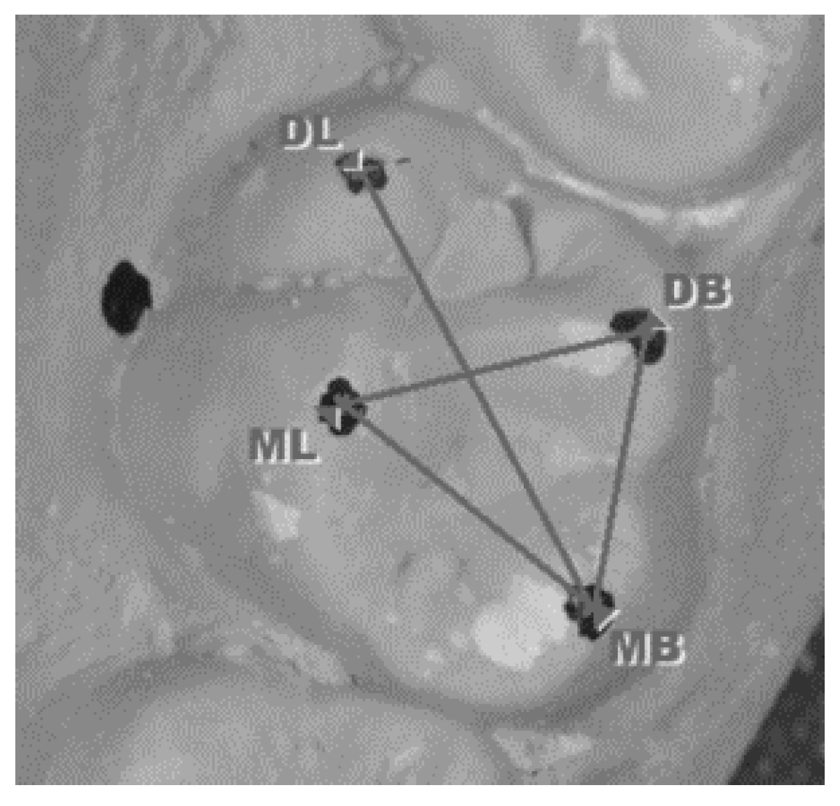 Genes 14 00231 g003 Genes 14 00231 g003