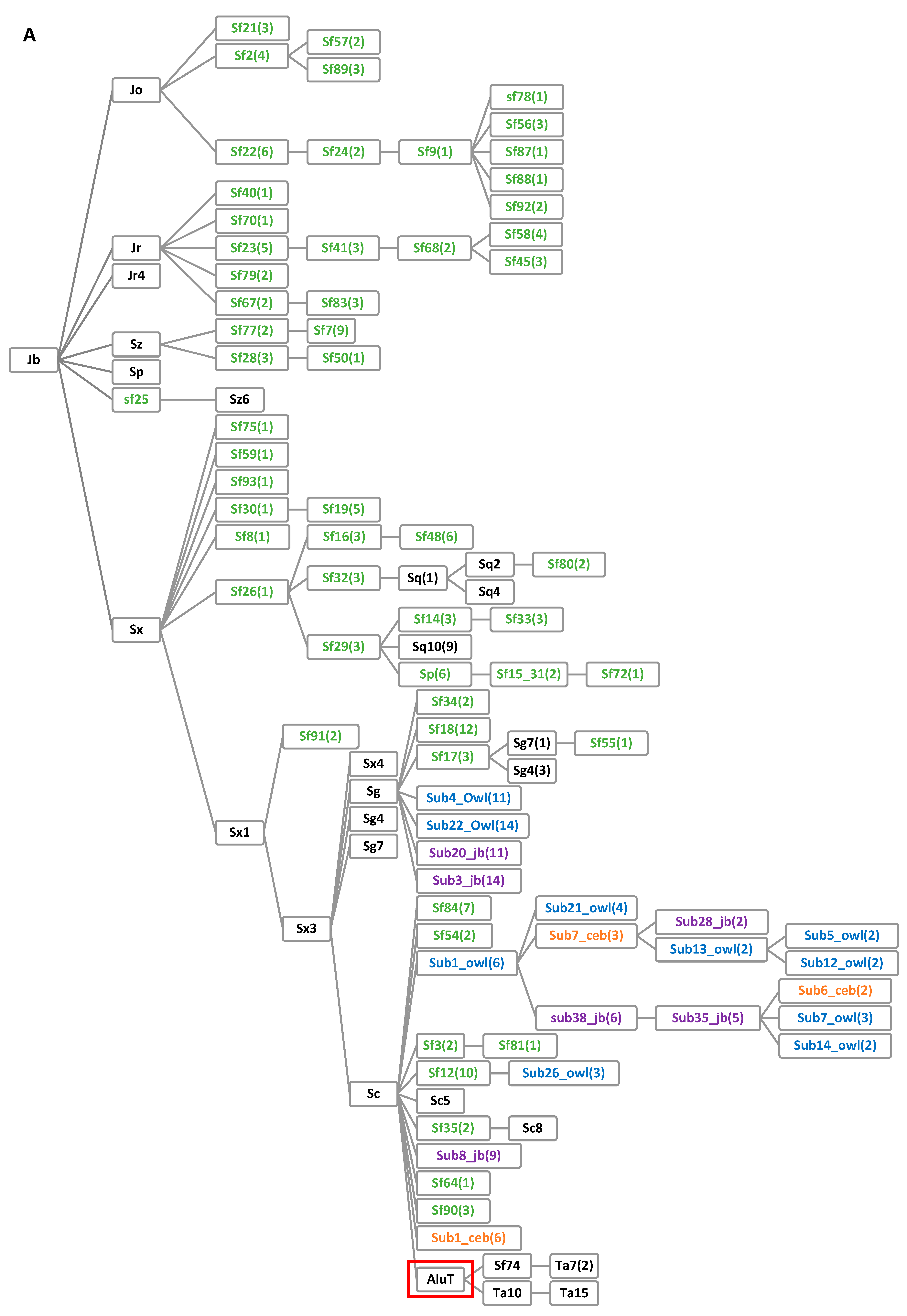 Genes 14 00249 g001a