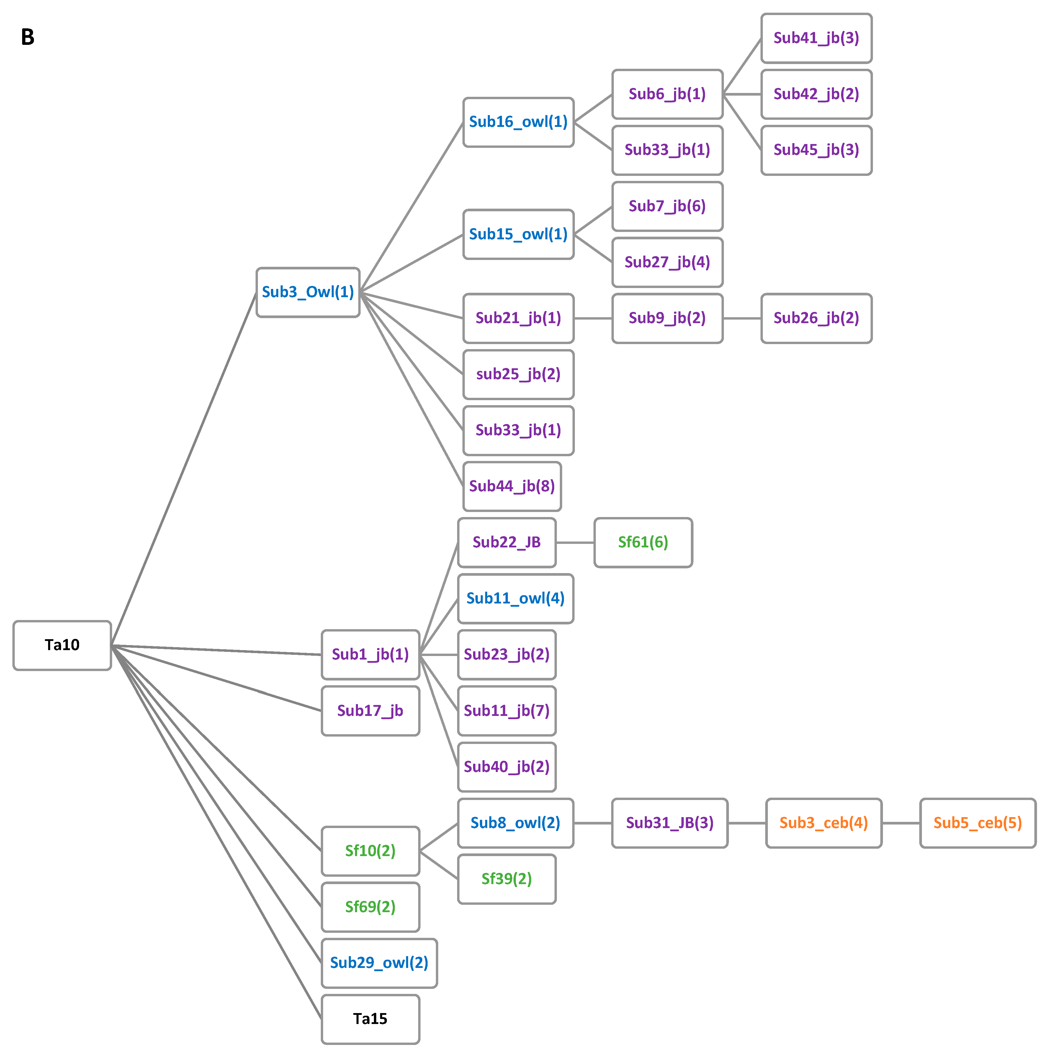 Genes 14 00249 g001b