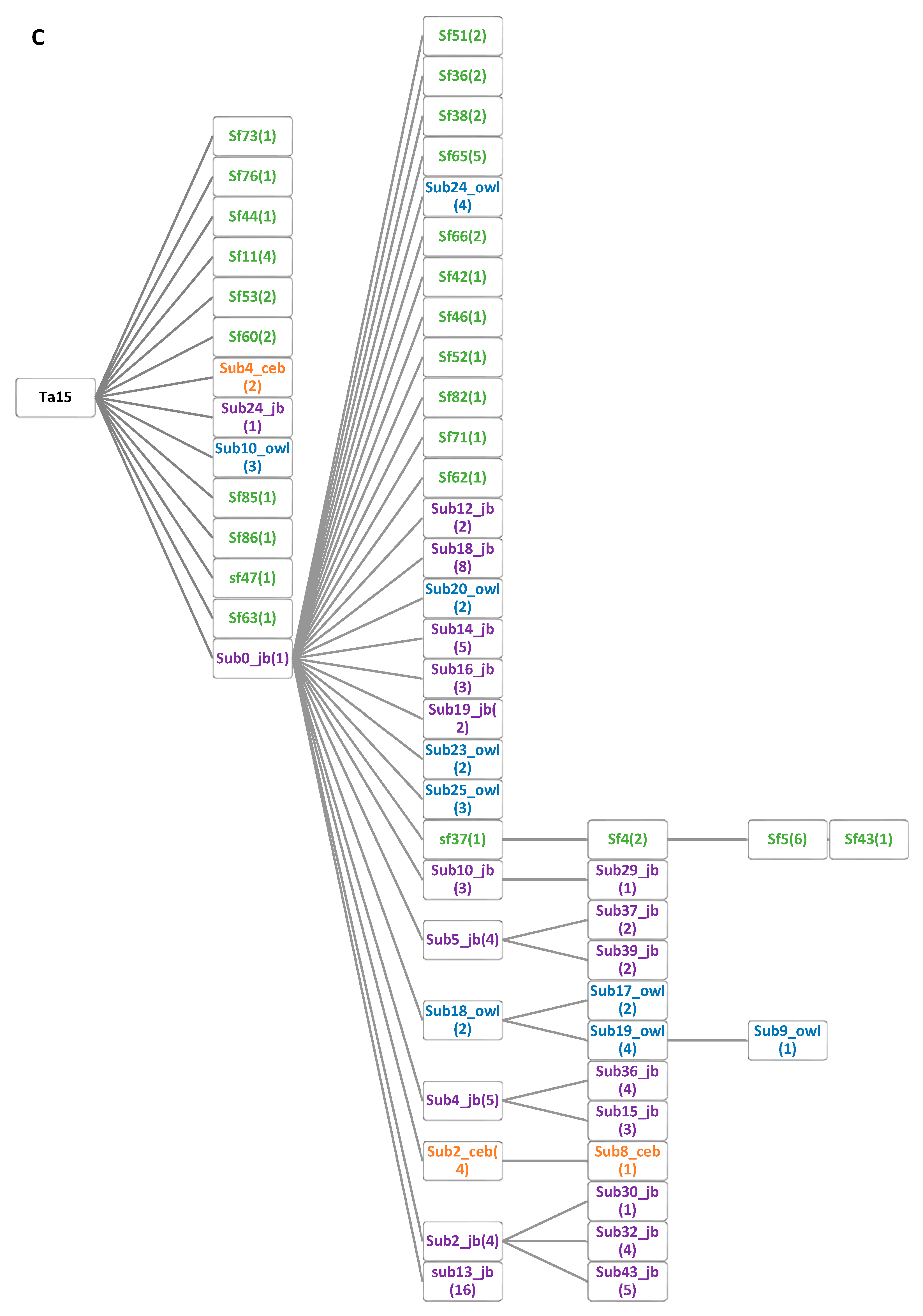Genes 14 00249 g001c