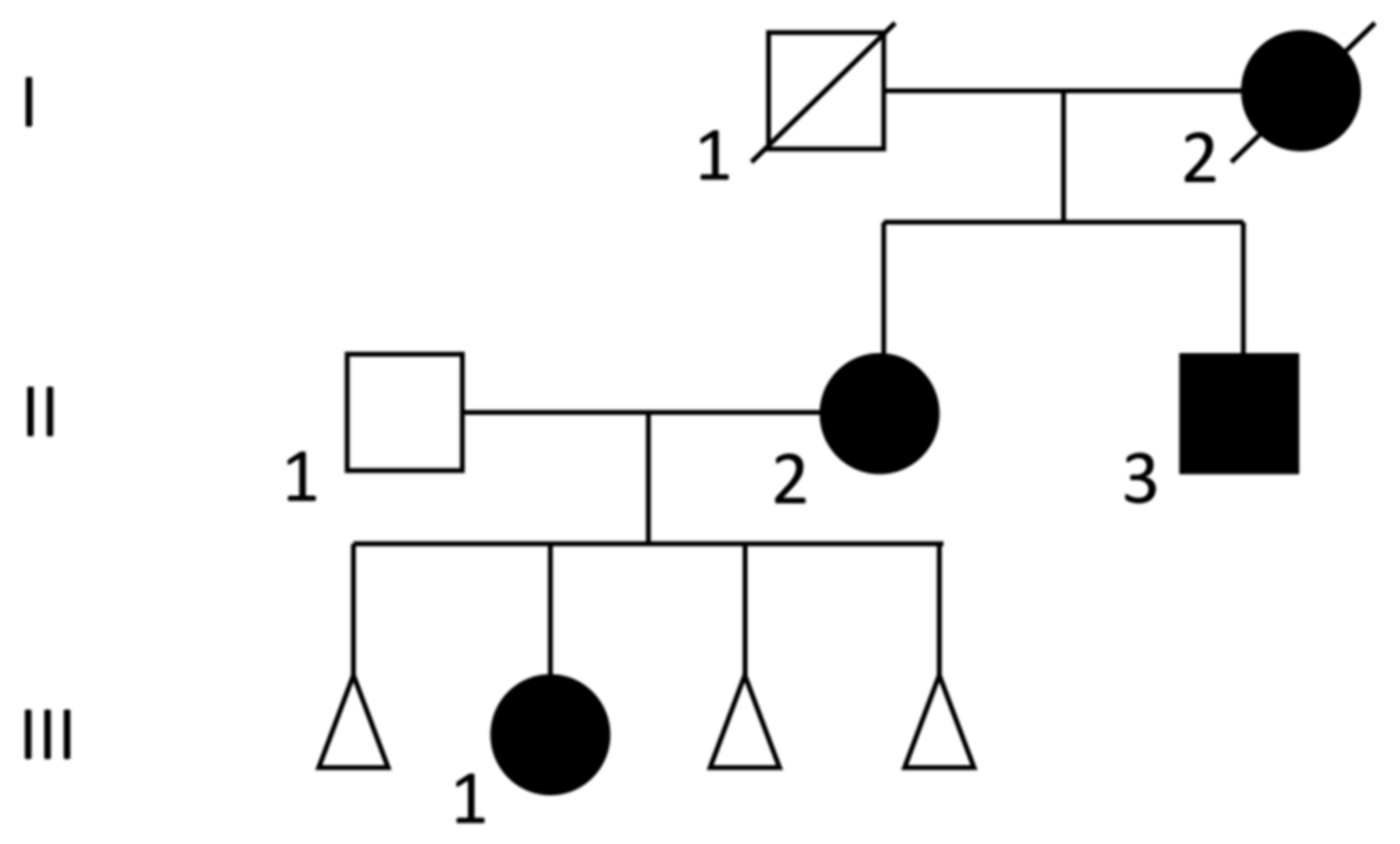 Genes 14 00258 g001
