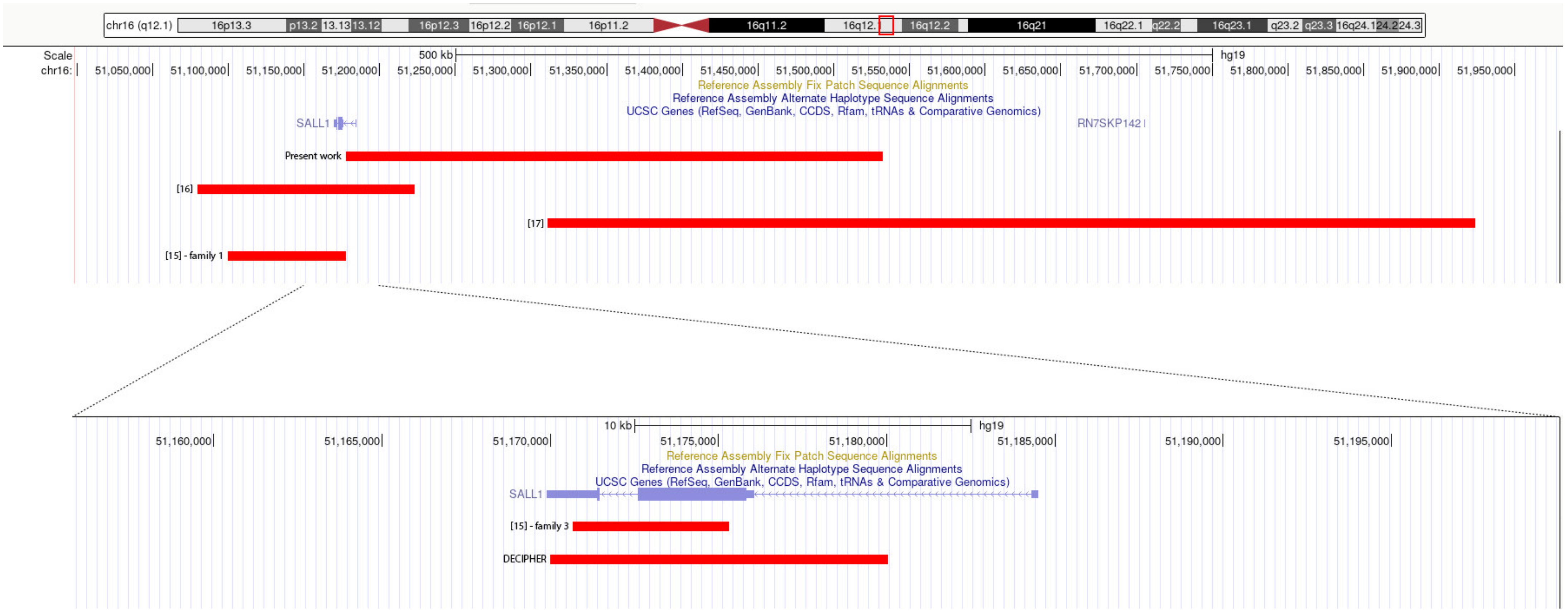 Genes 14 00258 g002