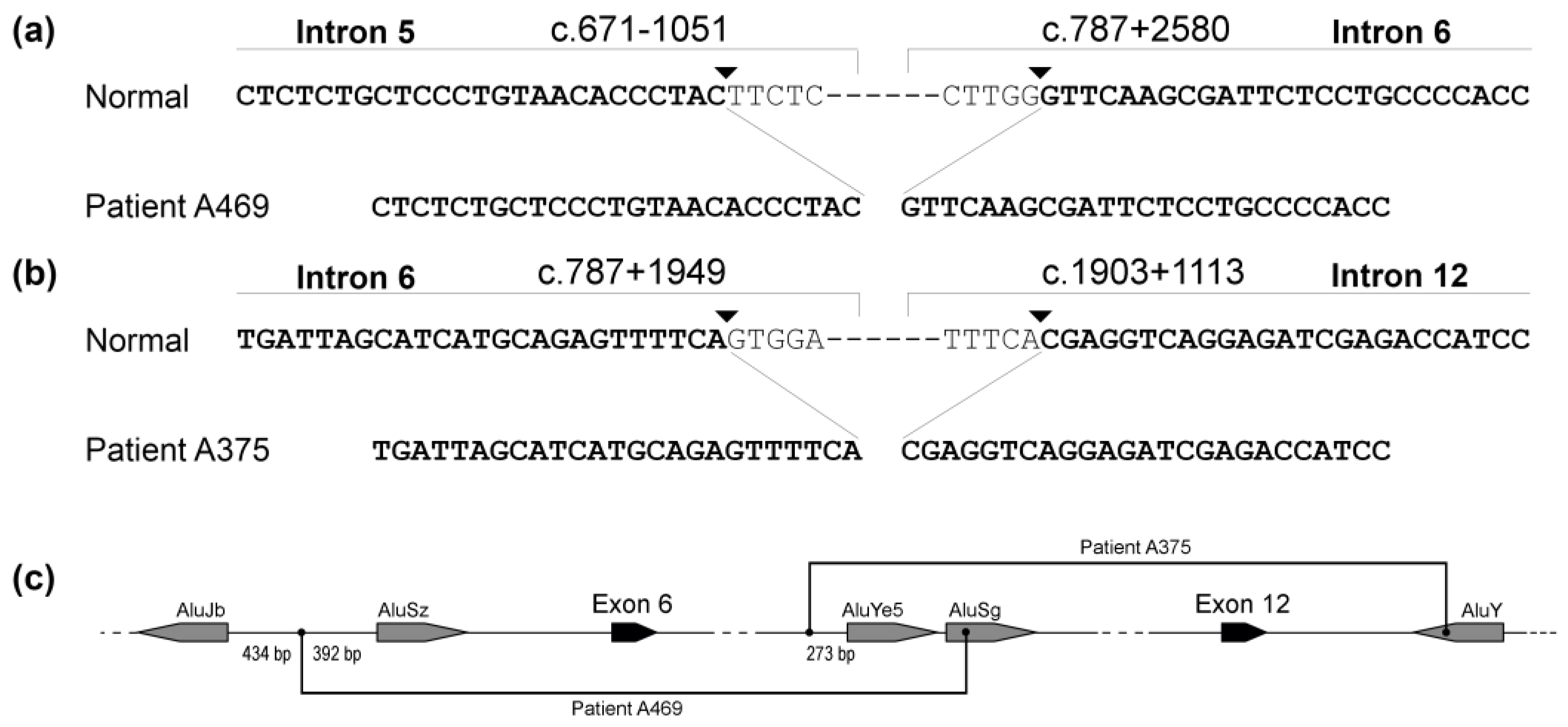 Genes 14 00260 g002 Genes 14 00260 g002