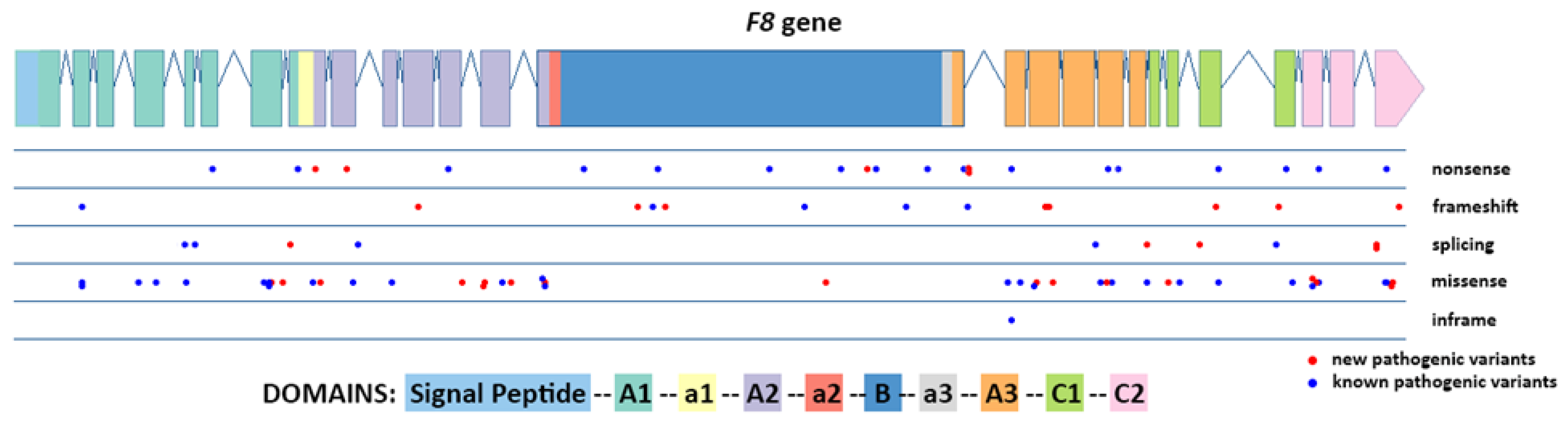 Genes 14 00260 g004 Genes 14 00260 g004