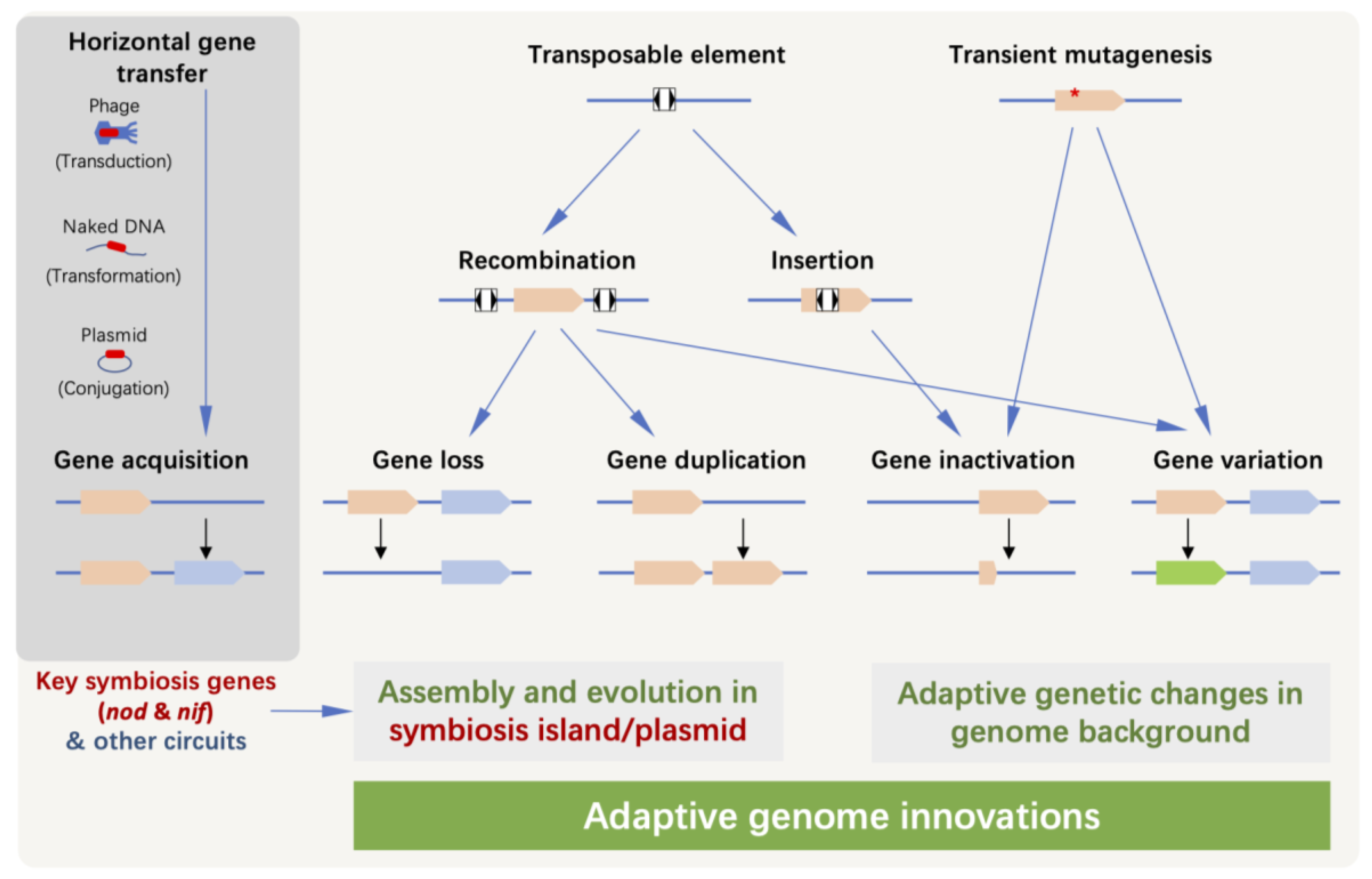 Genes 14 00274 g002 Genes 14 00274 g002