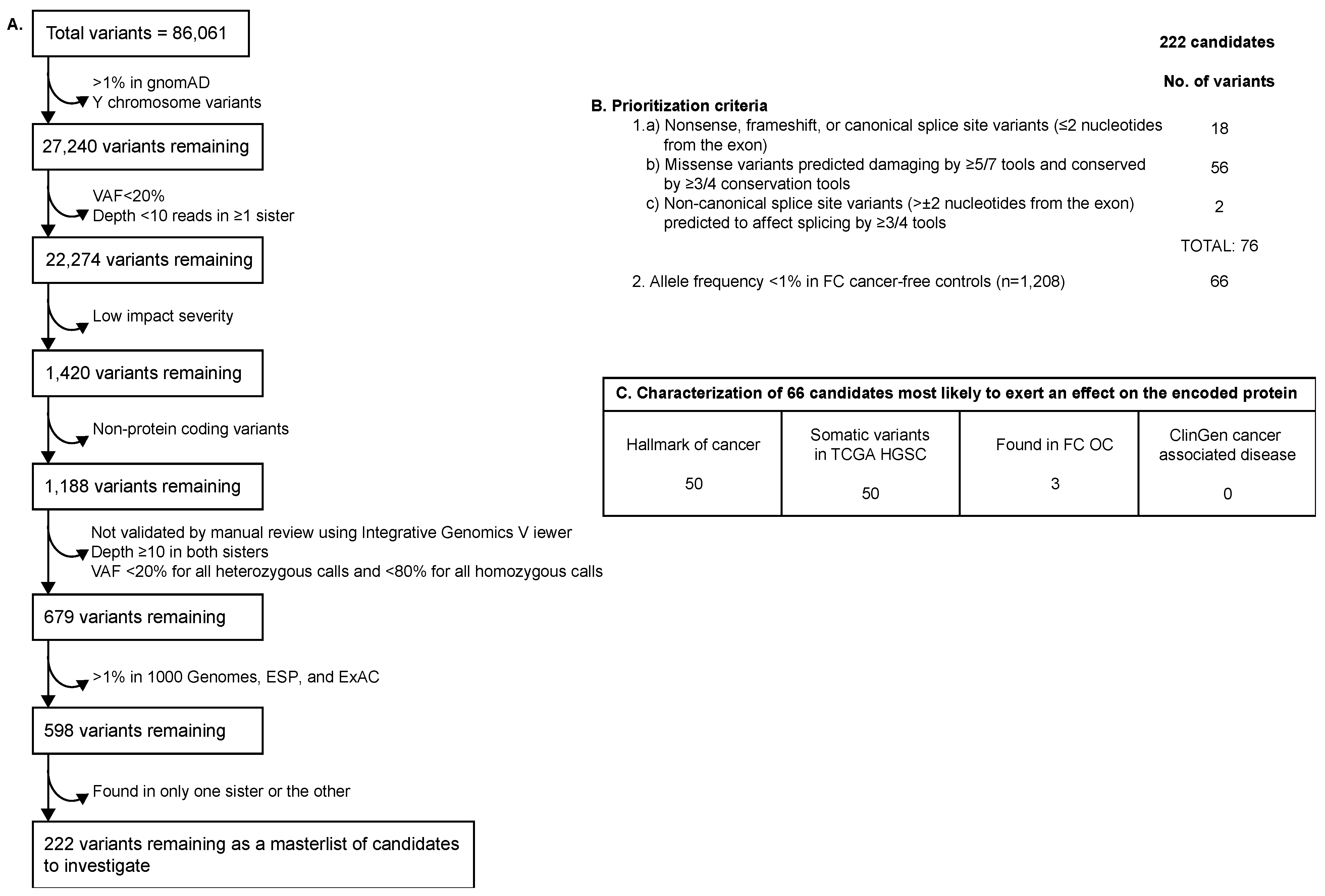 Genes 14 00277 g001