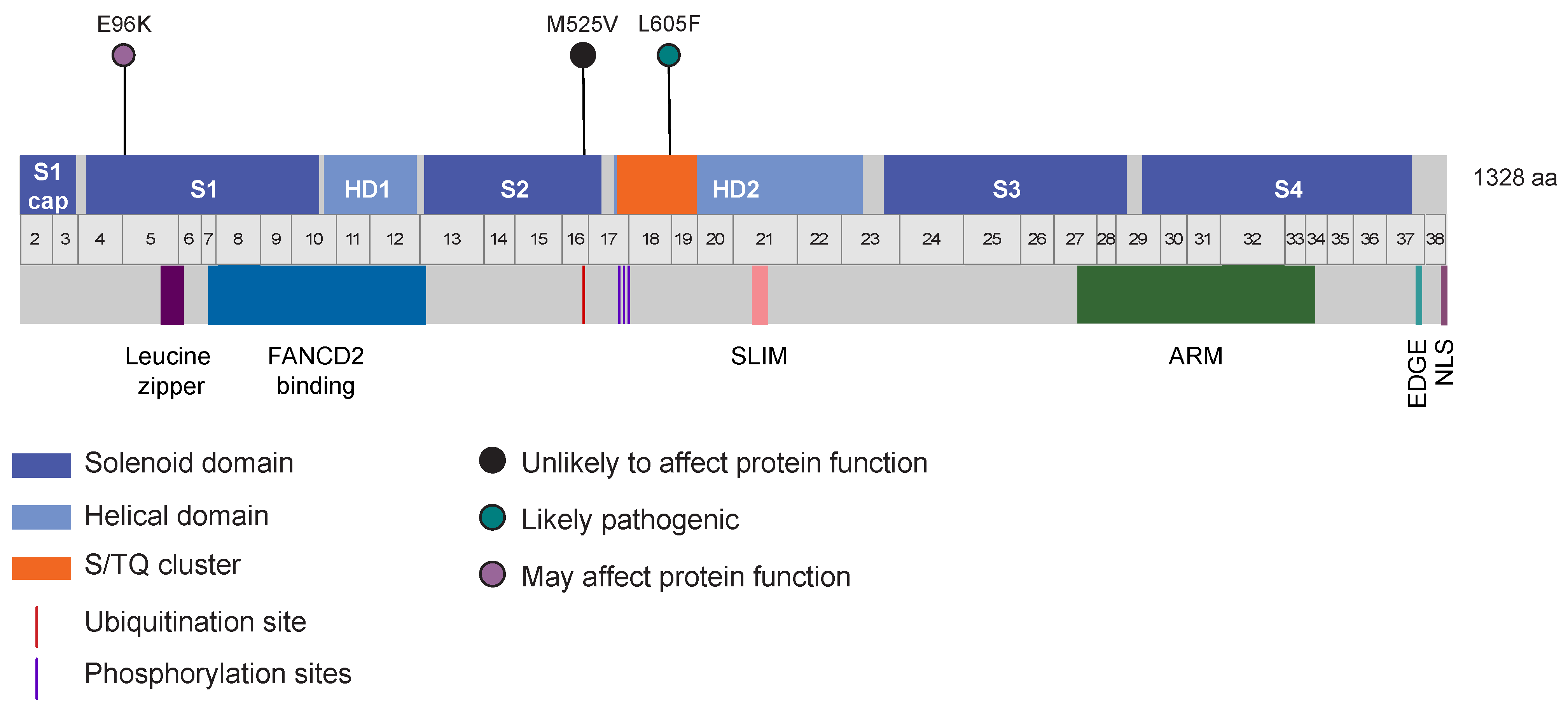 Genes 14 00277 g002