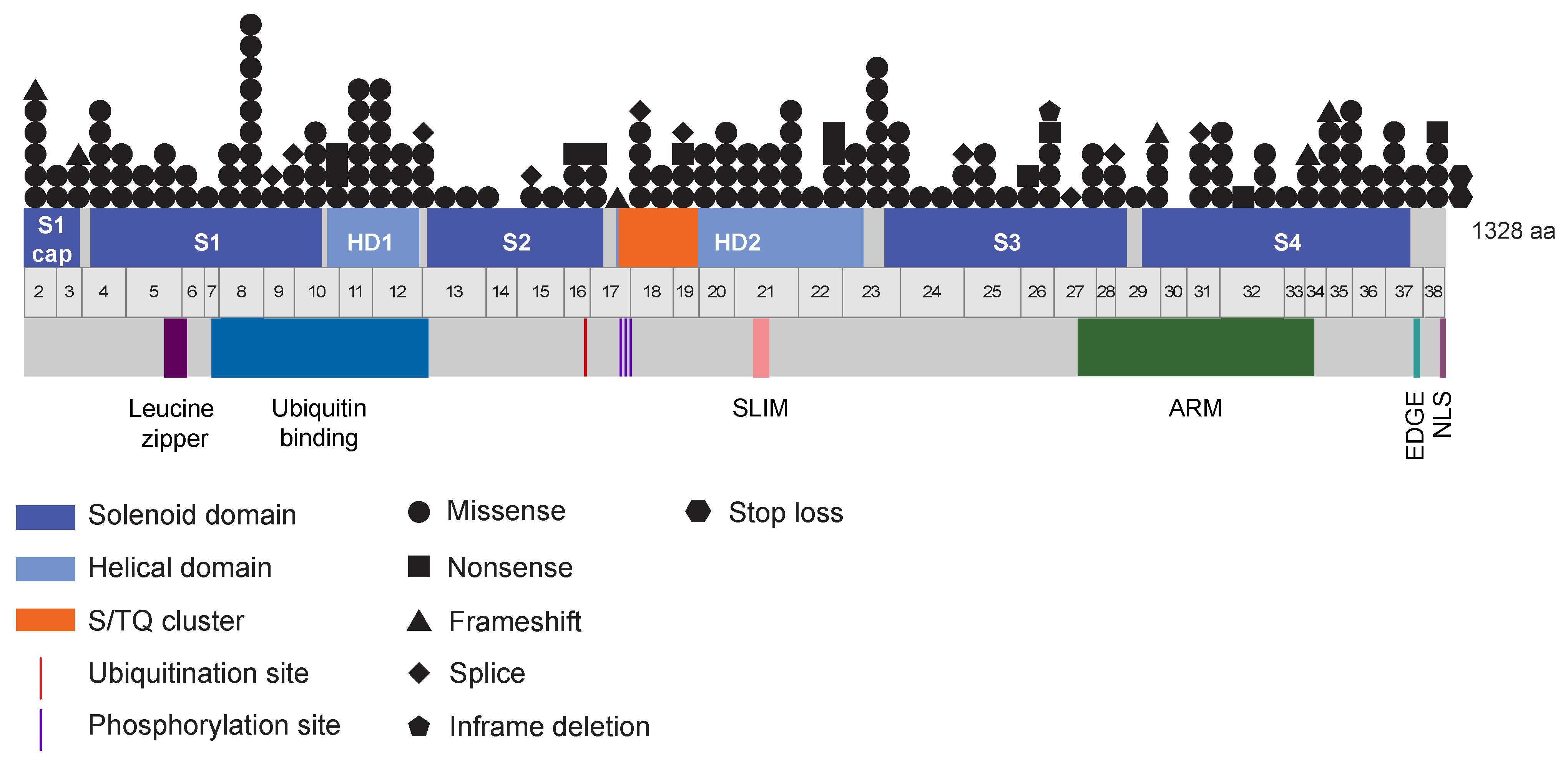 Genes 14 00277 g003