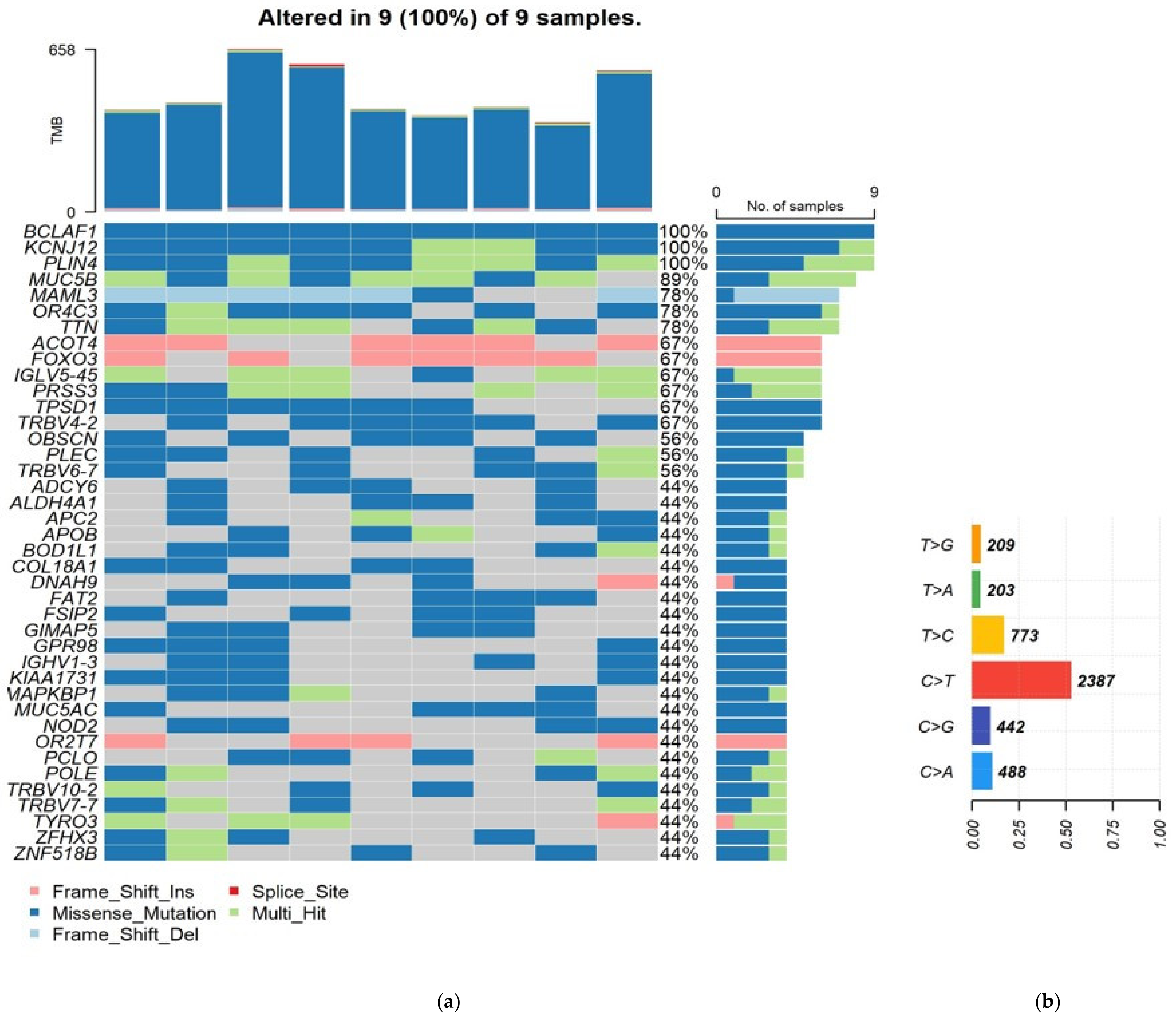 Genes 14 00280 g002 Genes 14 00280 g002