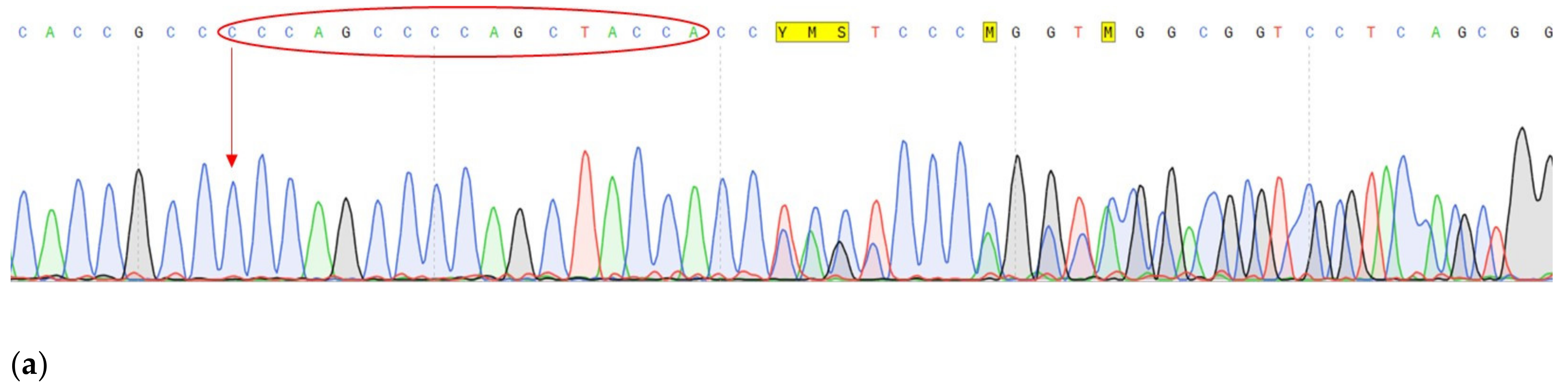 Genes 14 00280 g004a Genes 14 00280 g004a