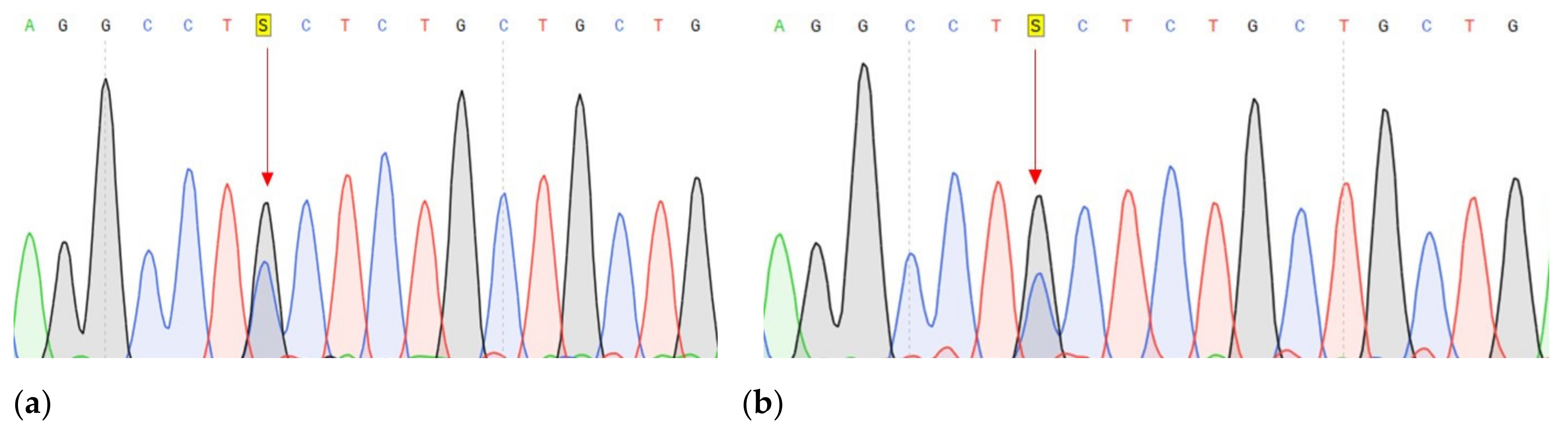 Genes 14 00280 g005a Genes 14 00280 g005a