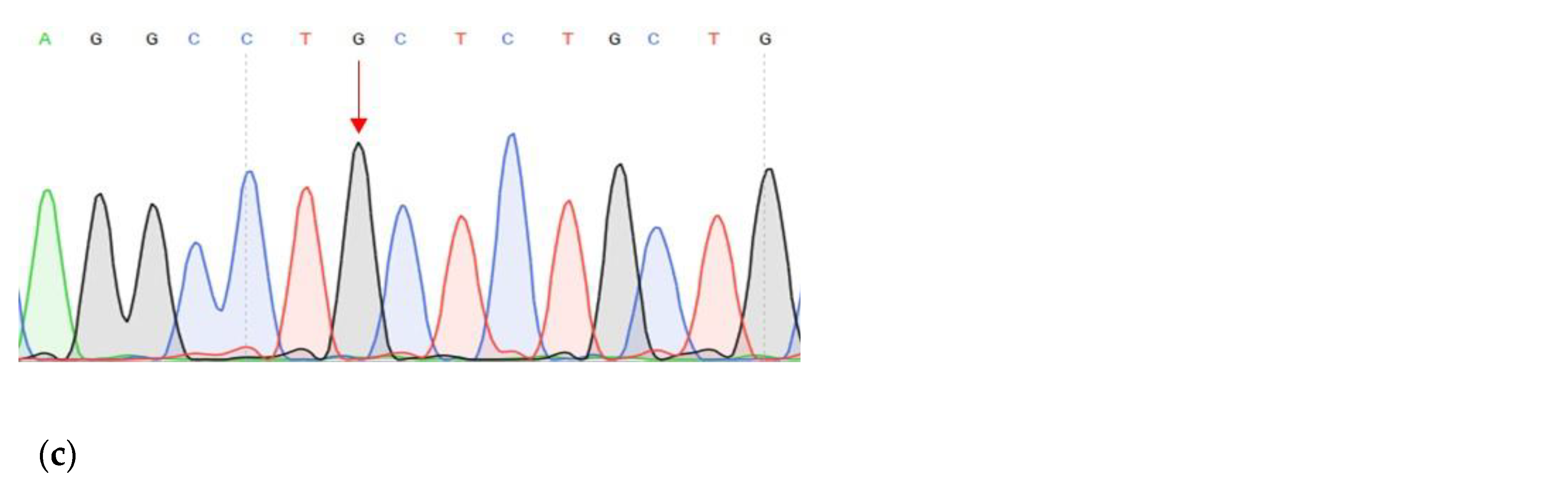 Genes 14 00280 g005b Genes 14 00280 g005b