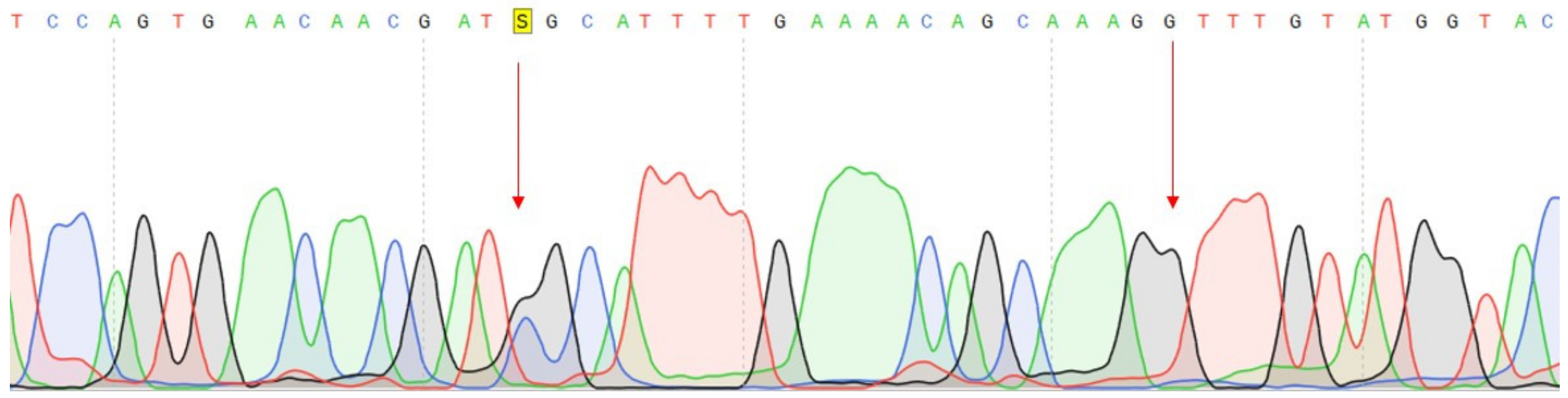 Genes 14 00280 g007 Genes 14 00280 g007