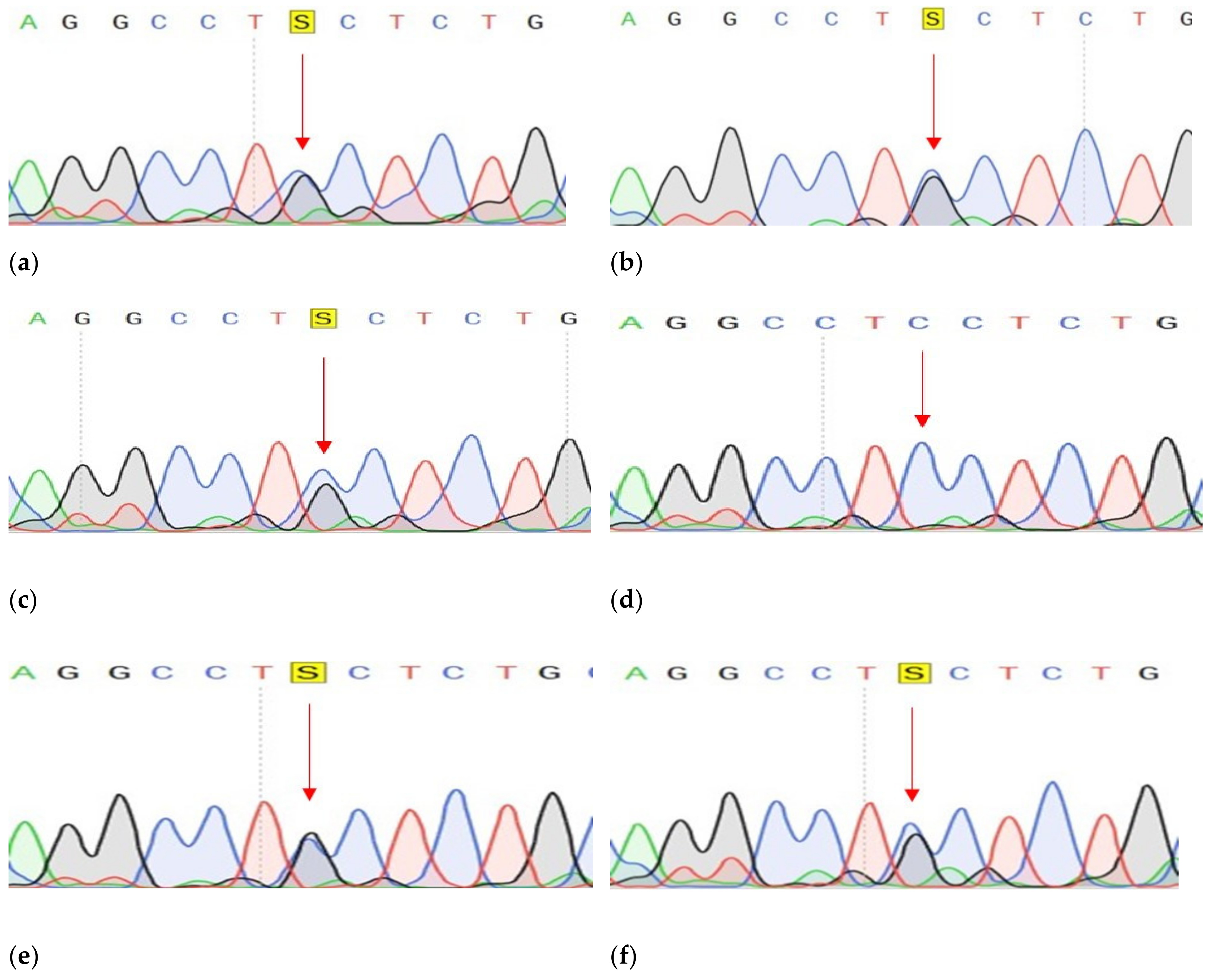 Genes 14 00280 g009 Genes 14 00280 g009